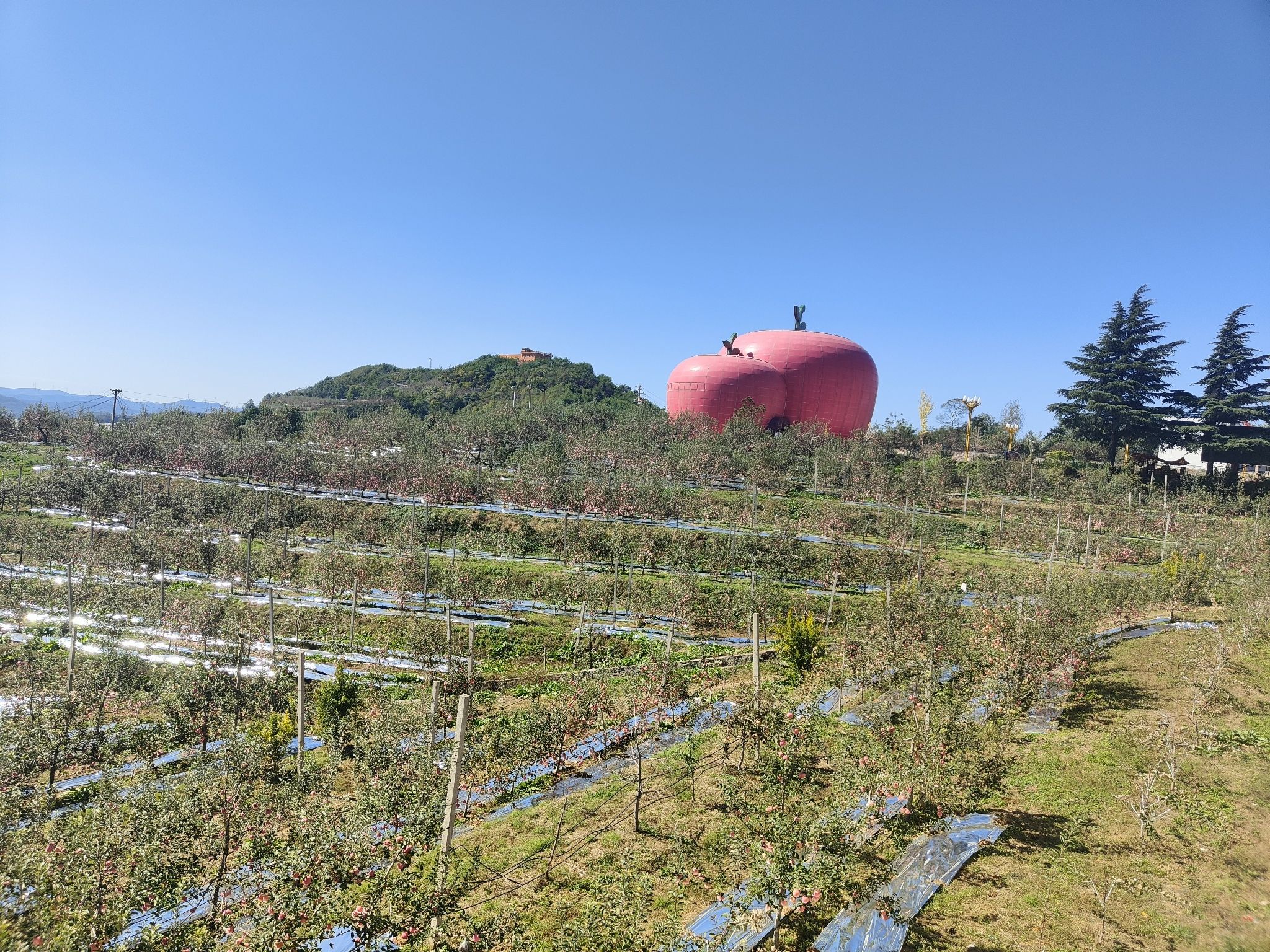寺河山苹果小镇旅行图片 3