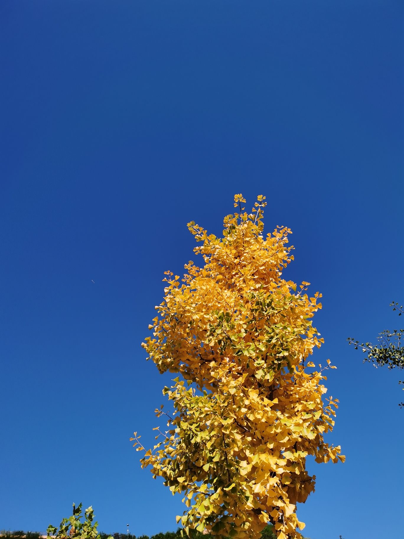 寺河山苹果小镇旅行图片 1