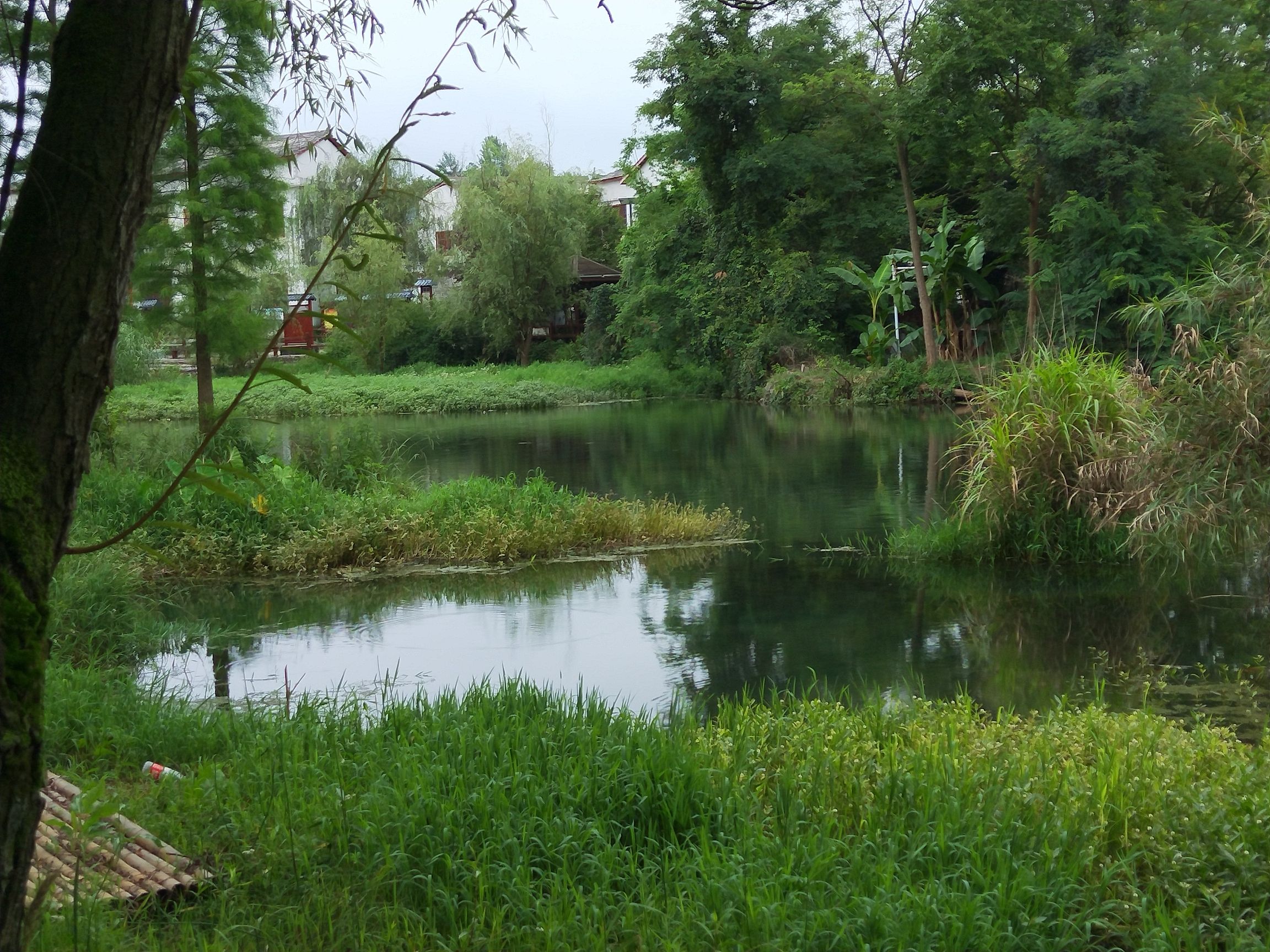 邢江河国家湿地公园旅行图片 3
