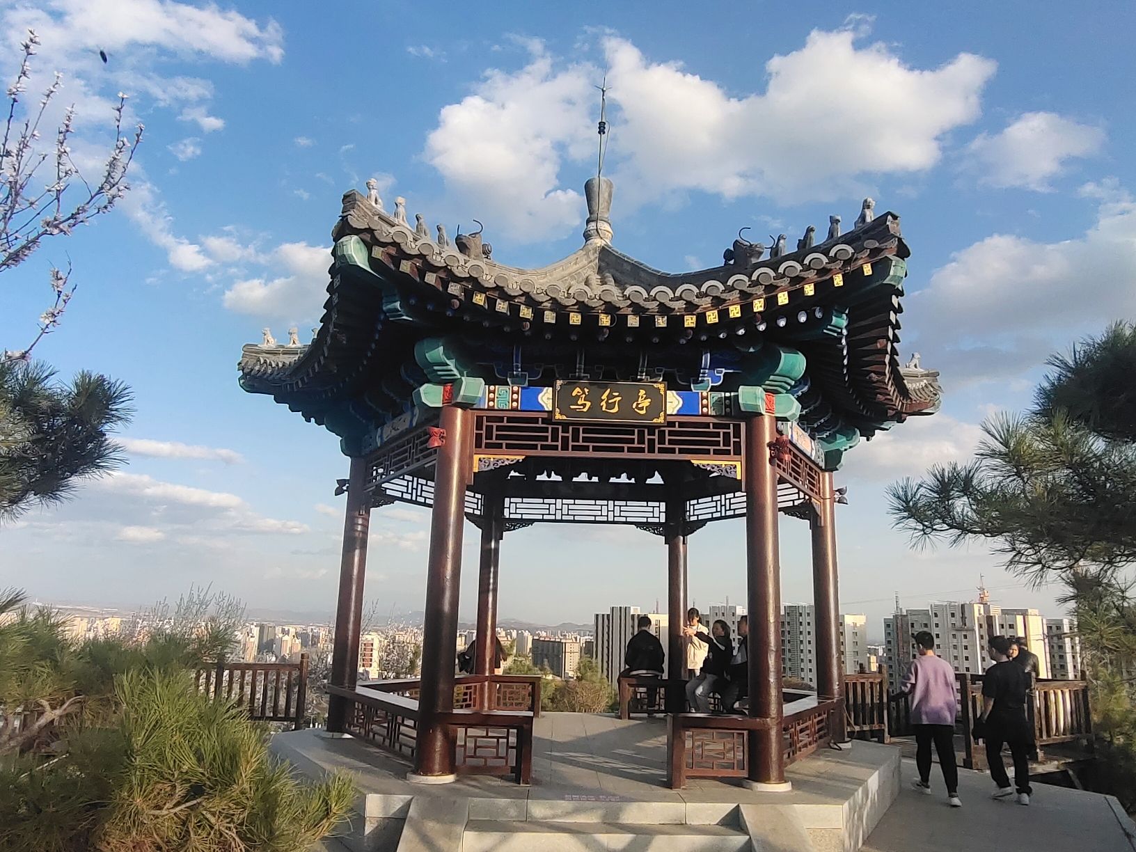 太子山公园旅行图片 3