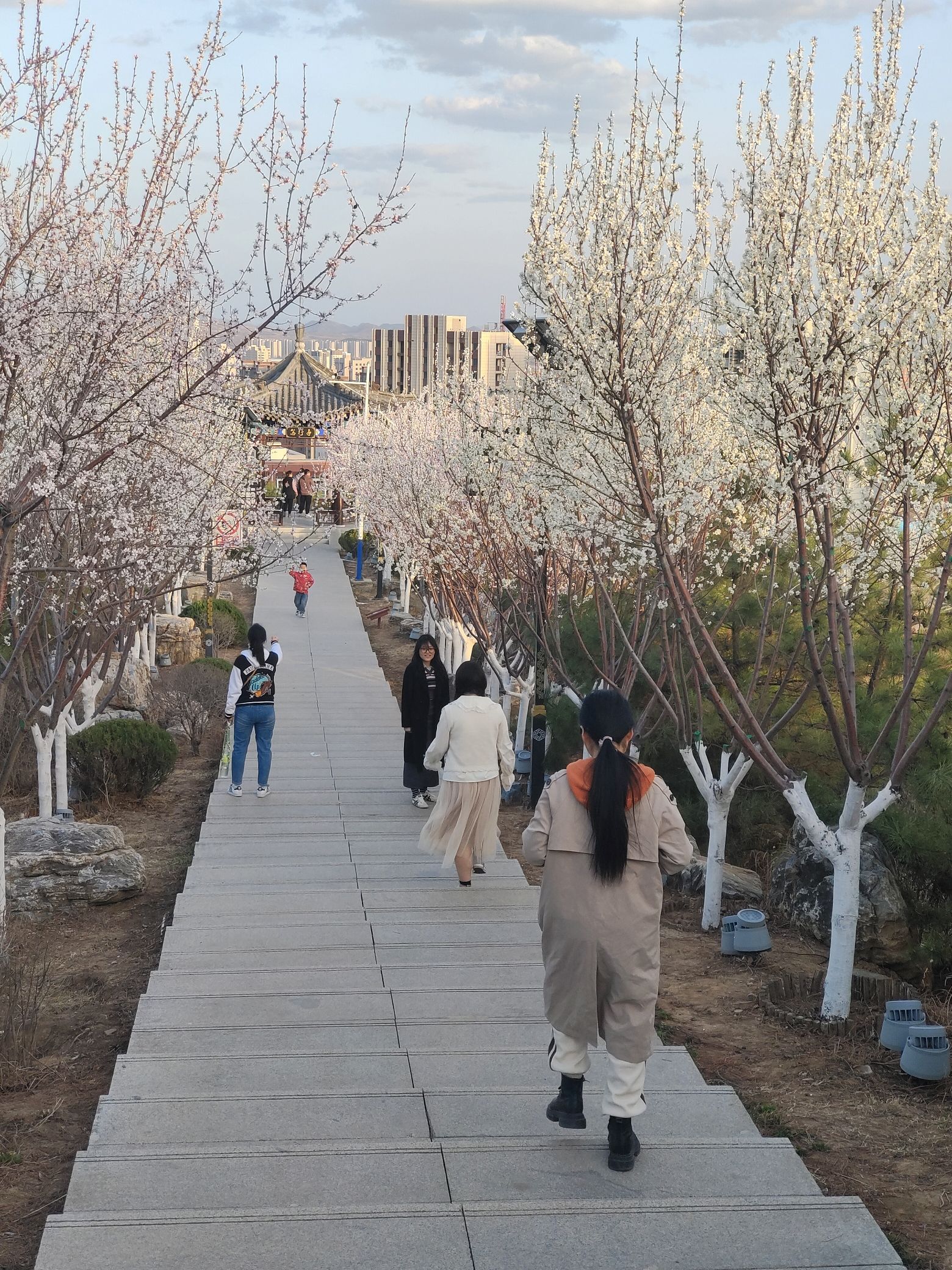太子山公园旅行图片 2