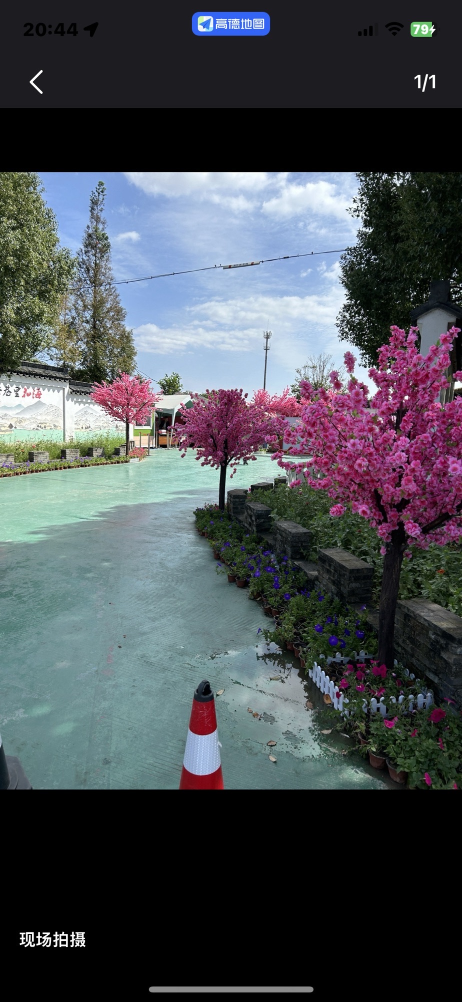 平巷里花海旅行图片 1