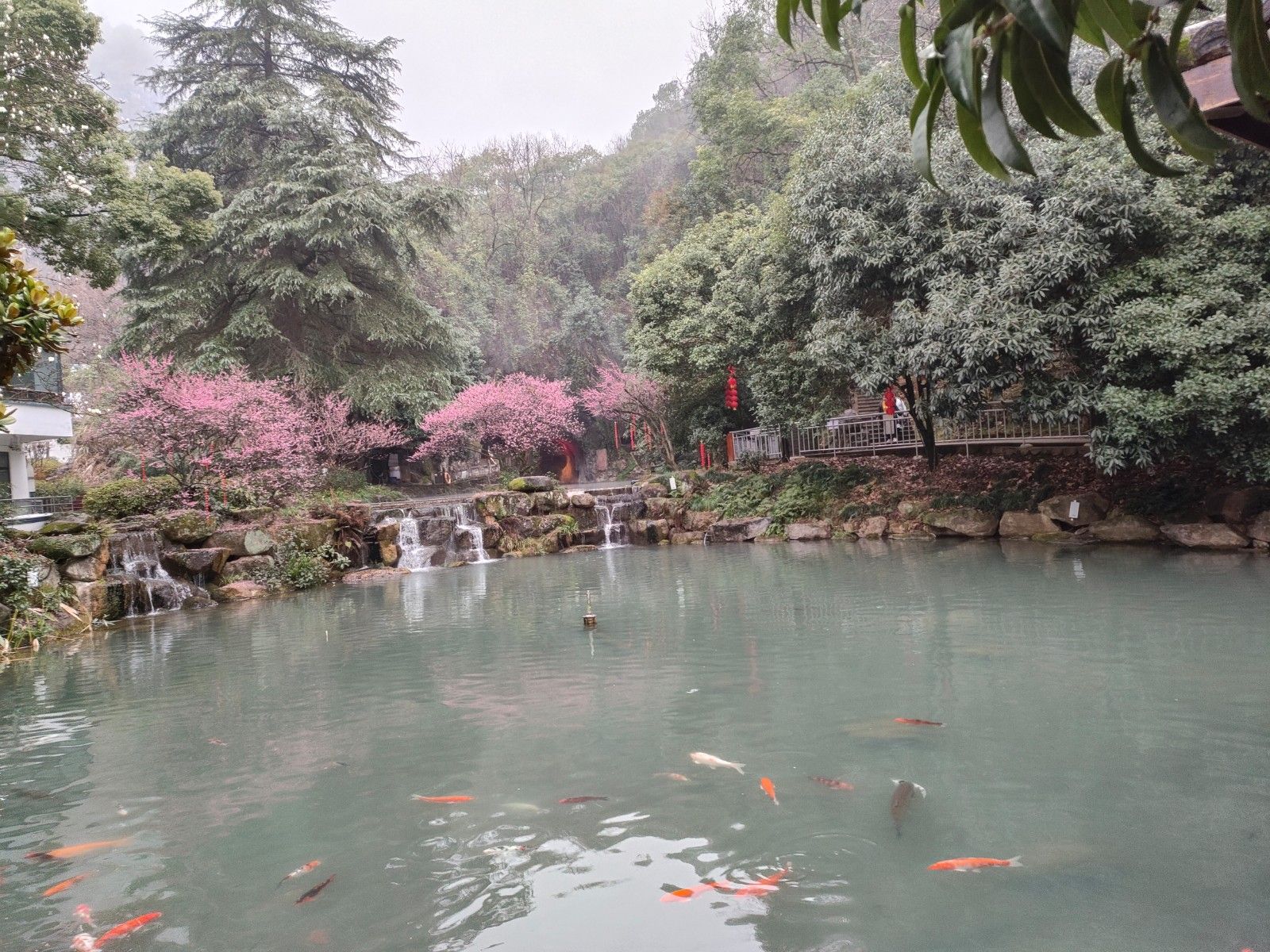 平巷里花海旅行图片 1