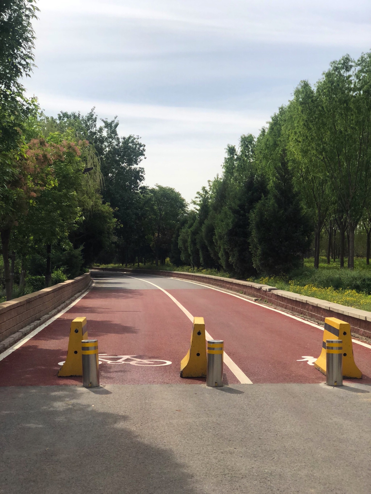 芳林公园旅行图片 1