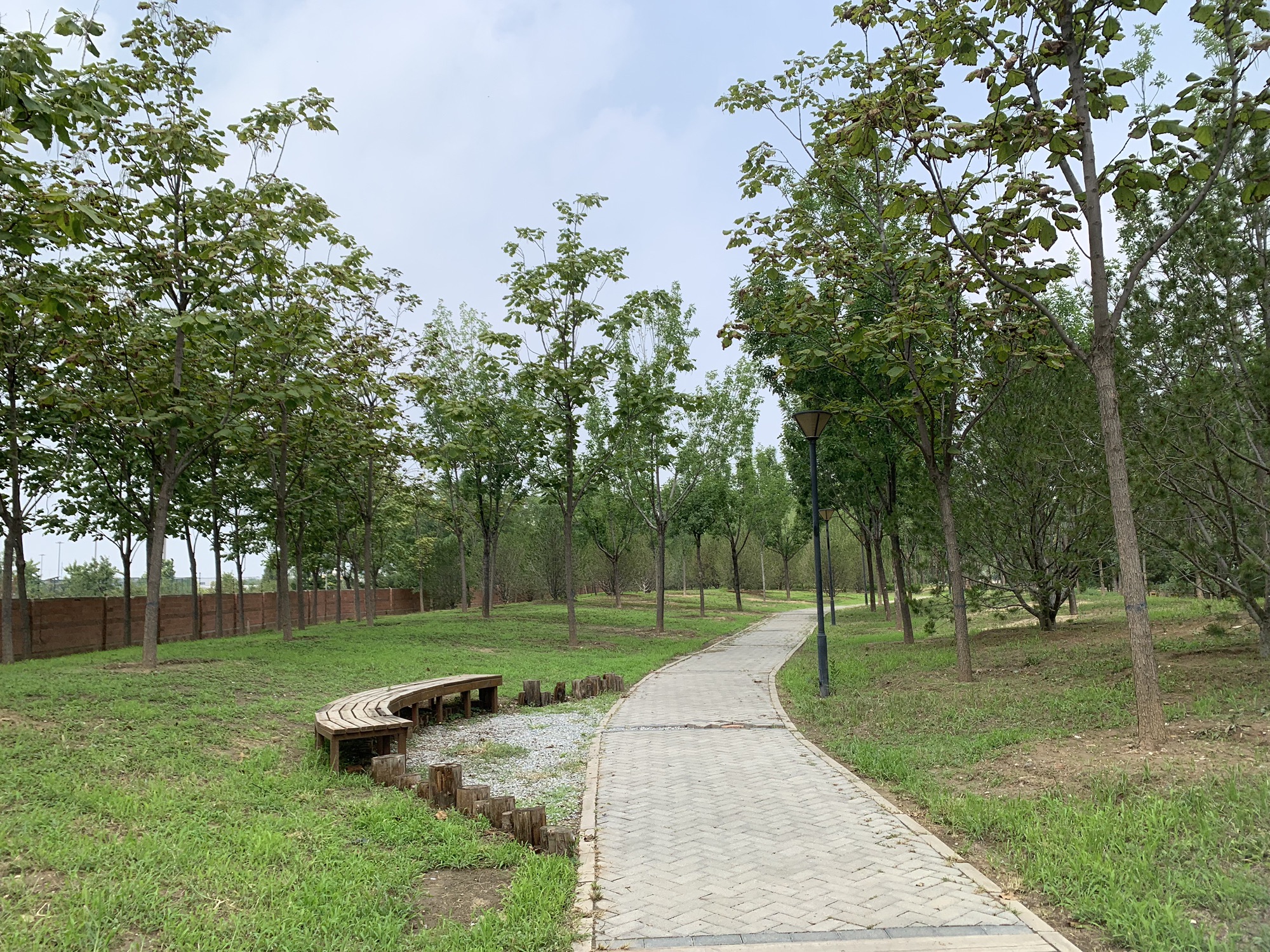 芳林公园旅行图片 2