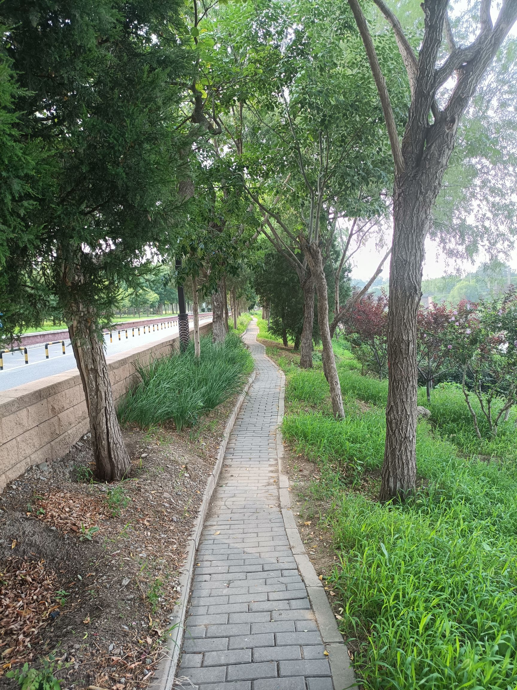 芳林公园