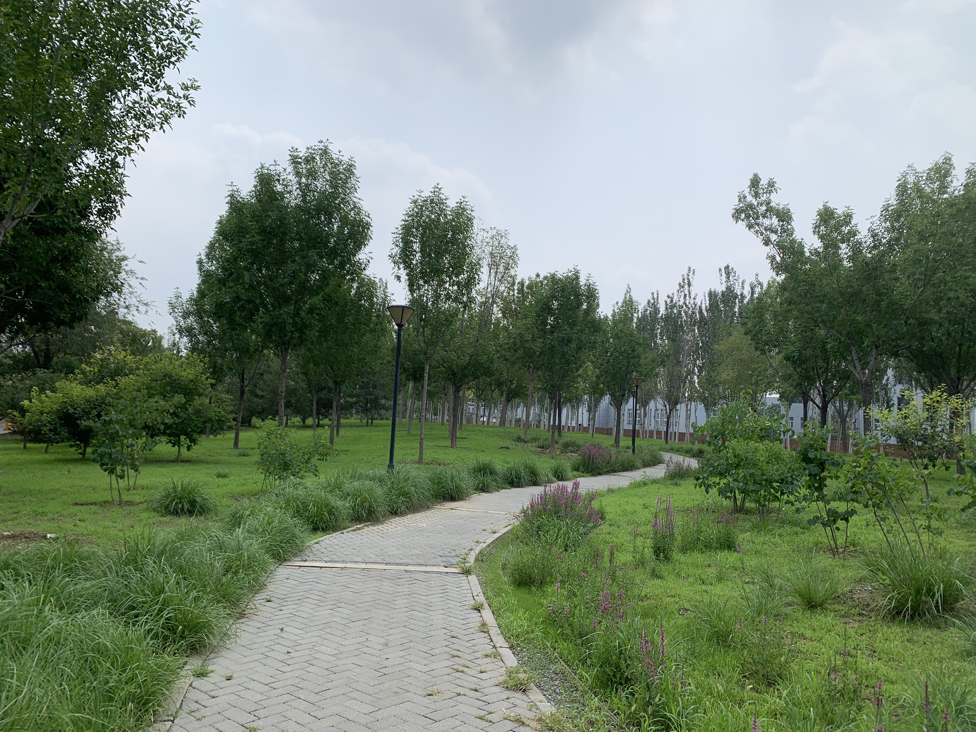 芳林公园旅行图片 1