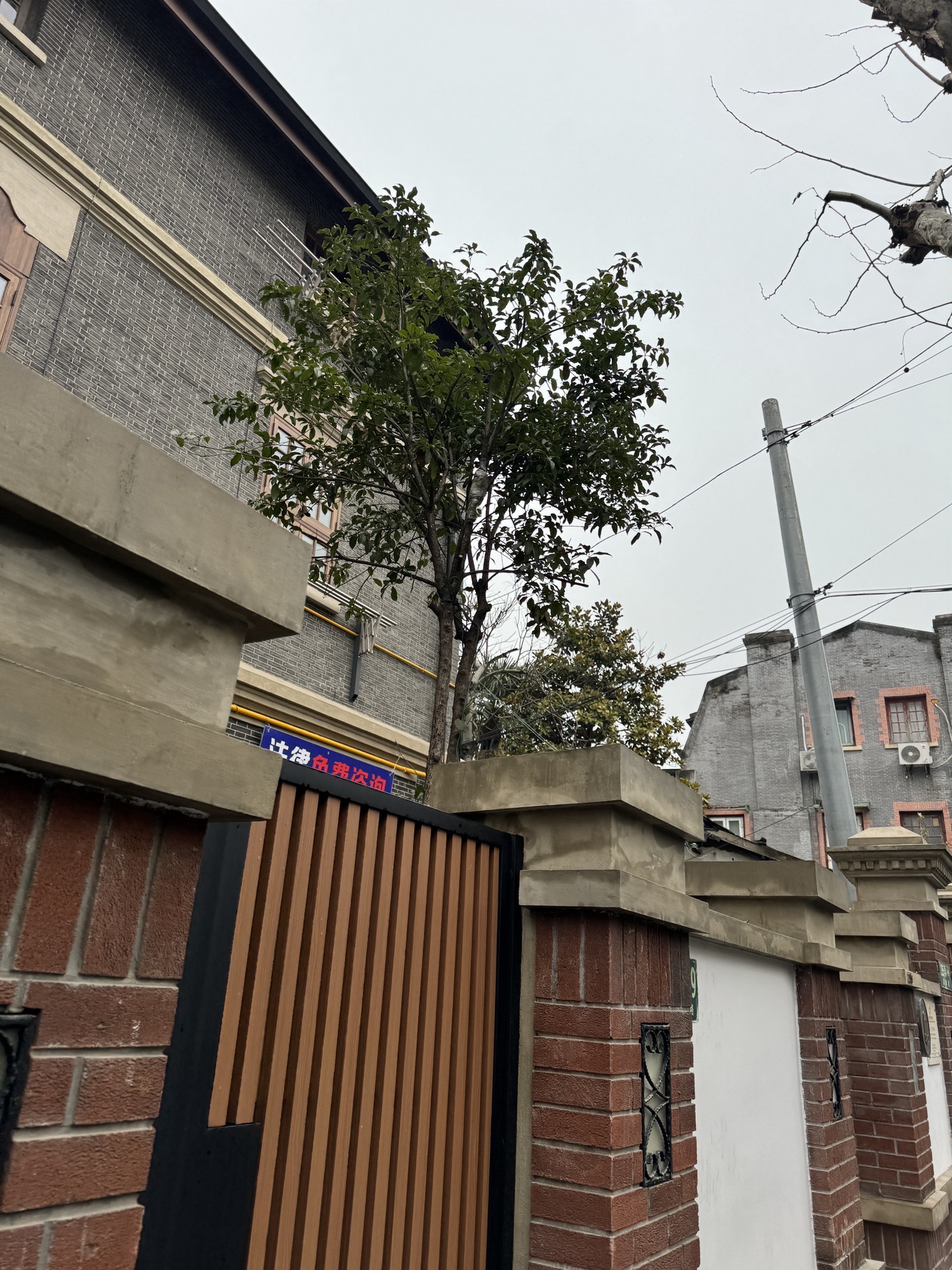 鲁迅存书室旧址旅行图片 3