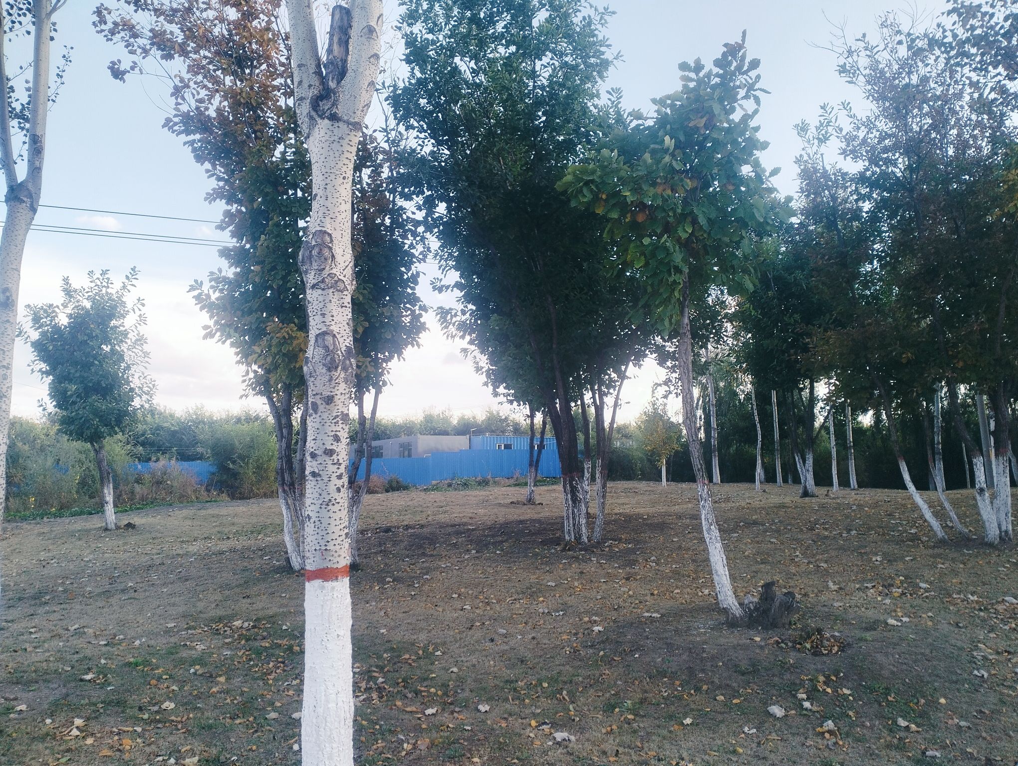 喀秋莎公园旅行图片 2
