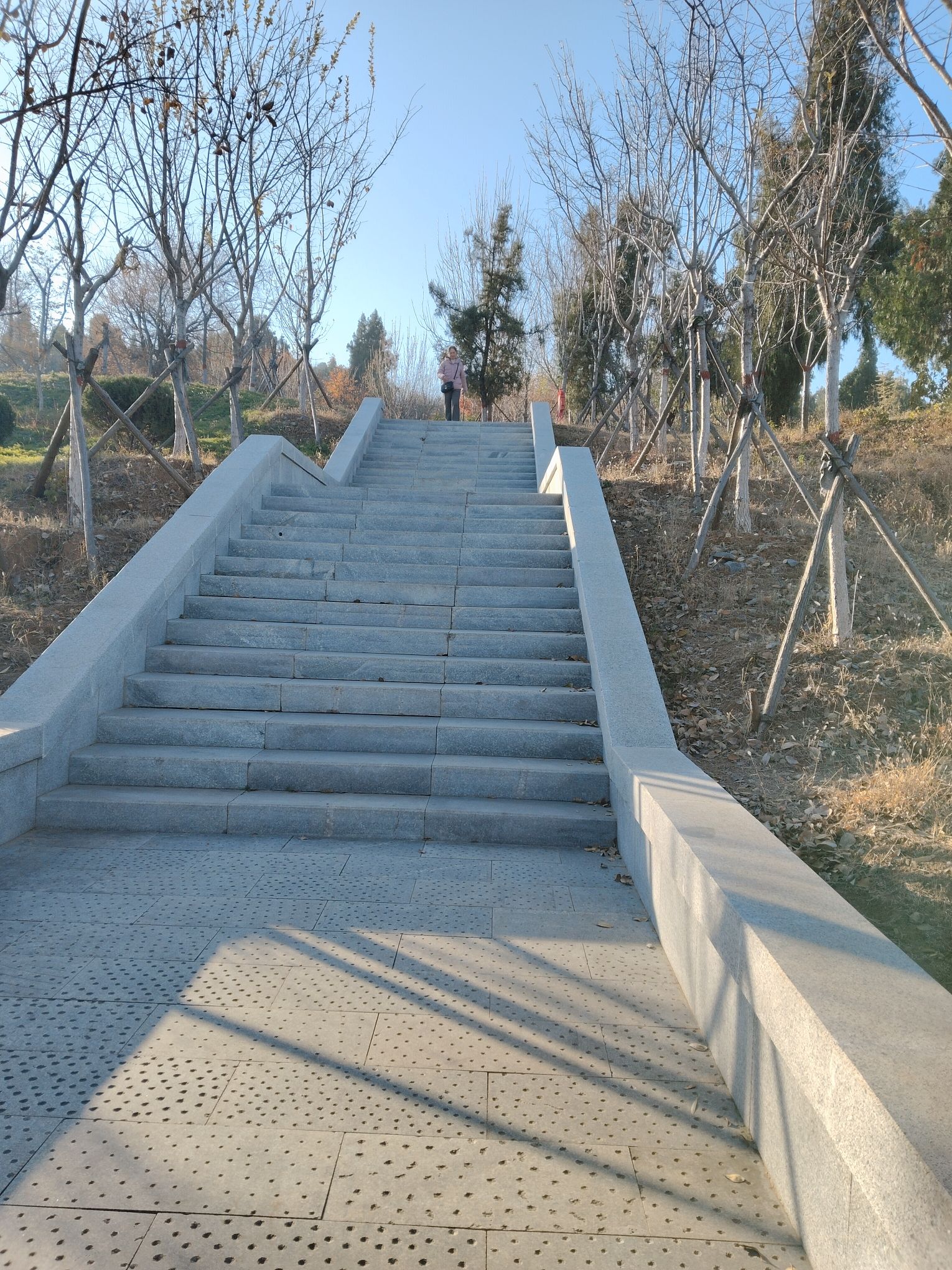 凤凰山公园旅行图片 1