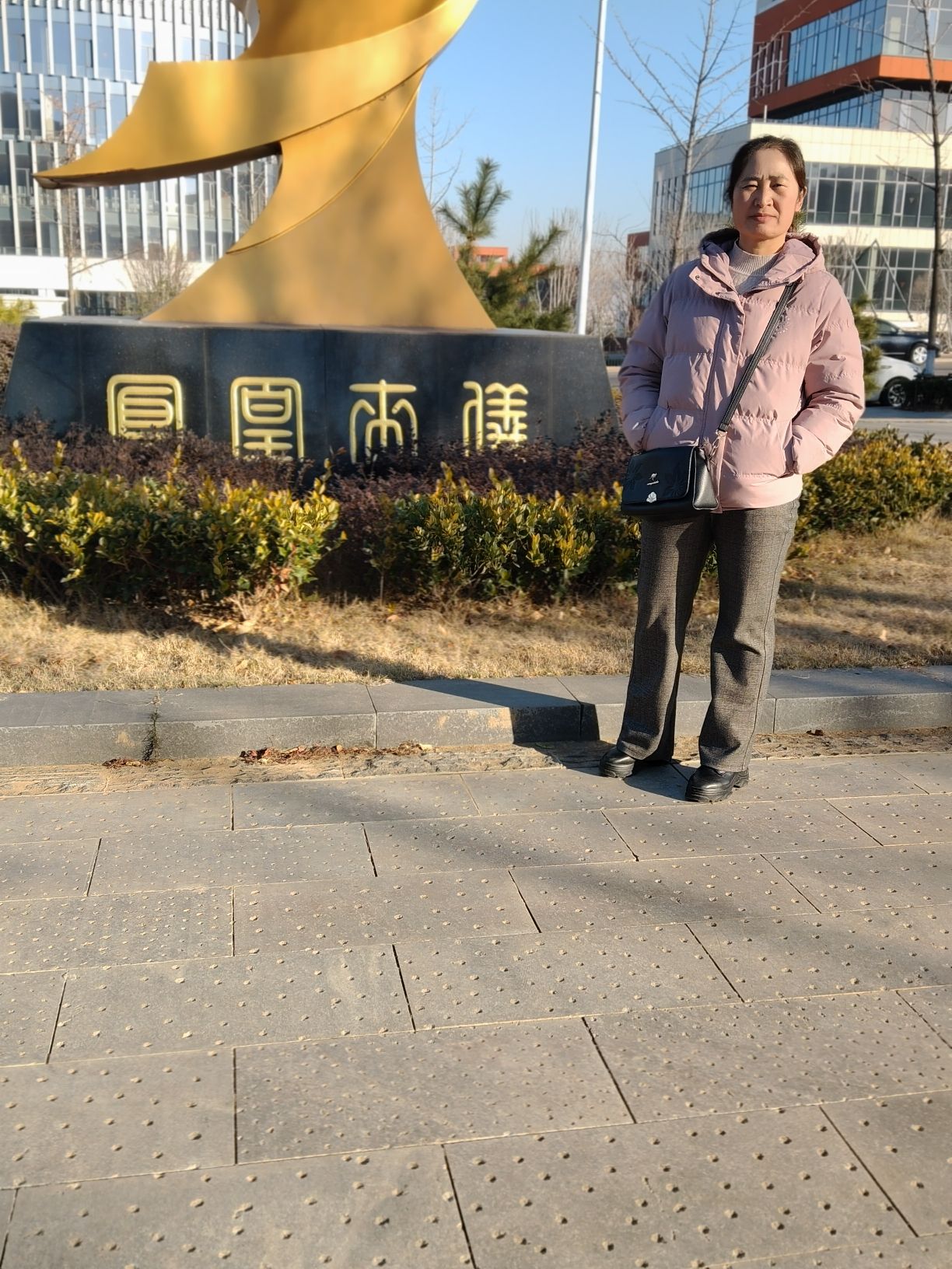 凤凰山公园旅行图片 2