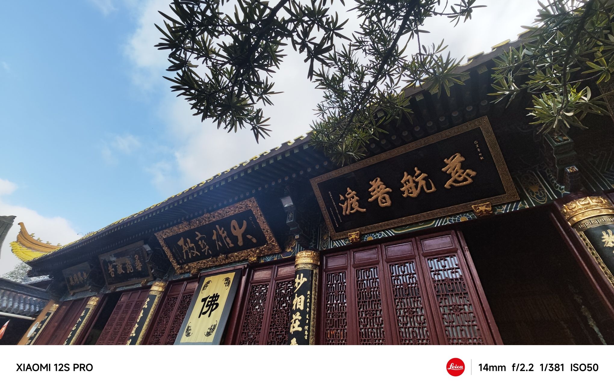 普陀山风景名胜区-荷花池