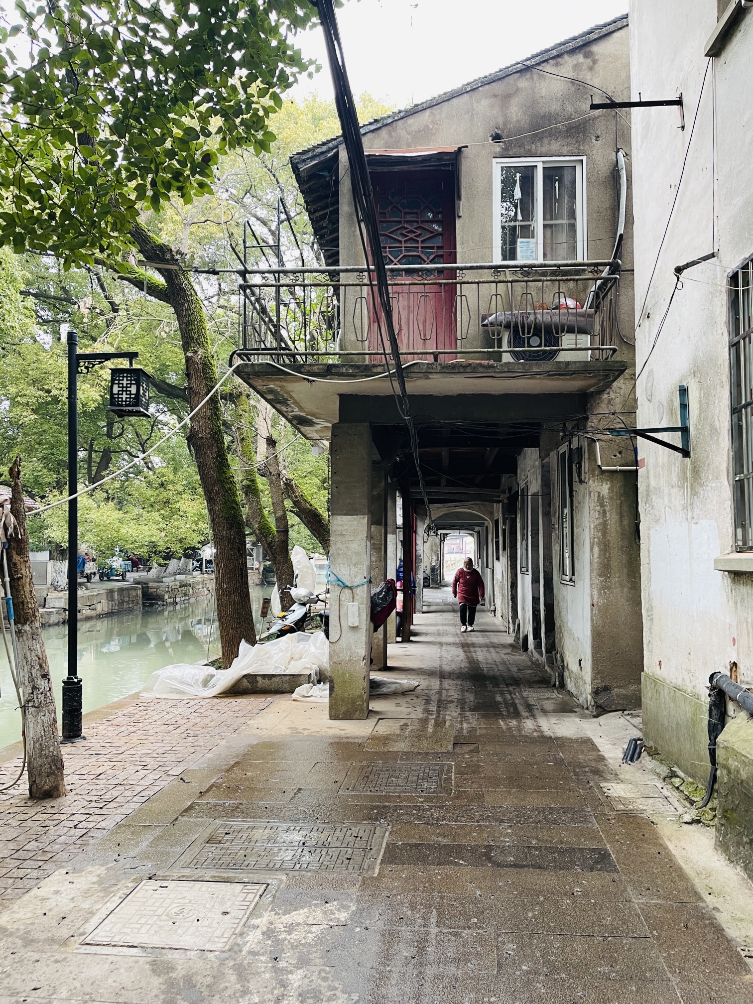 芦墟历史文化街区旅行图片 3