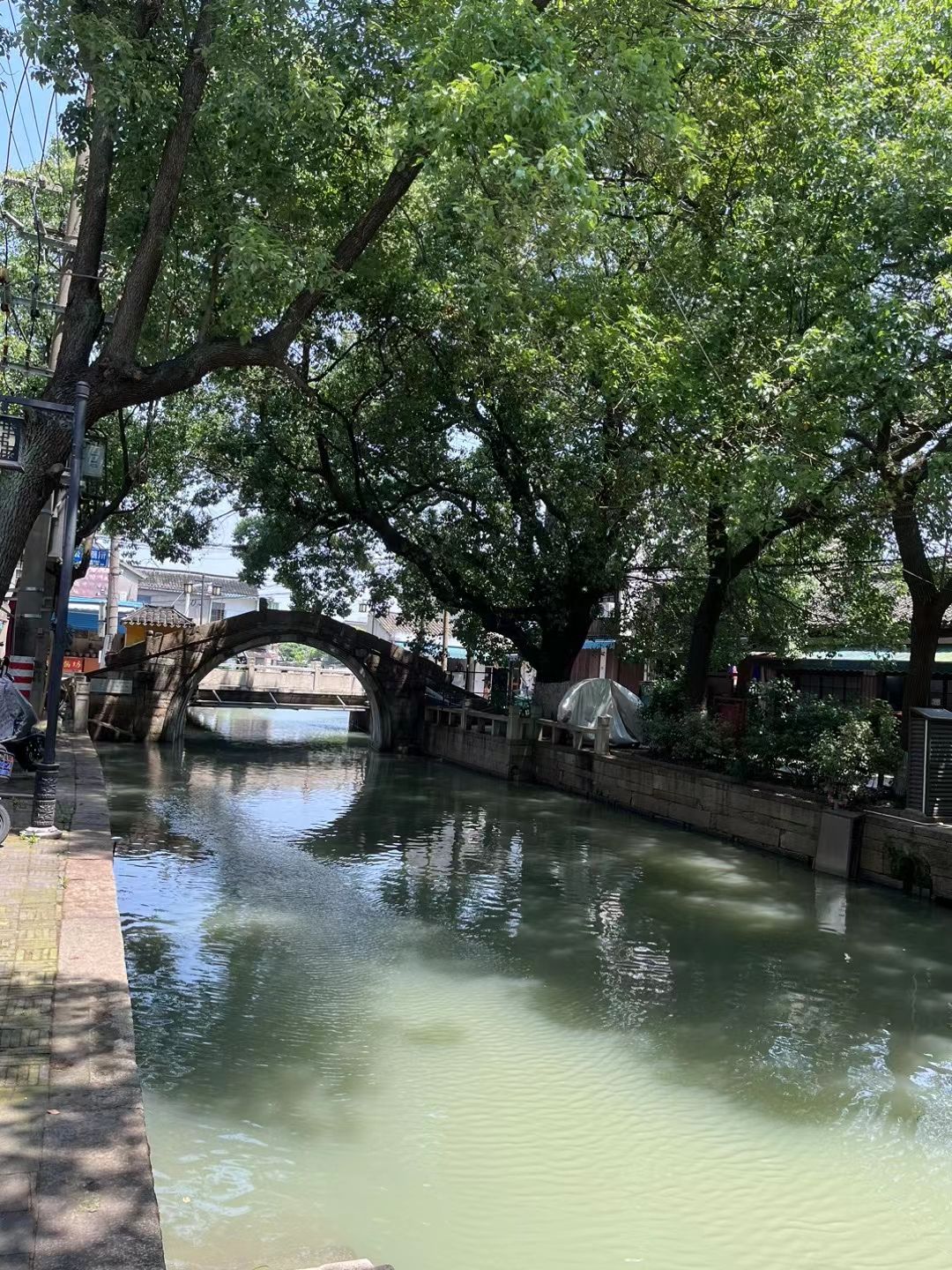 芦墟历史文化街区旅行图片 3
