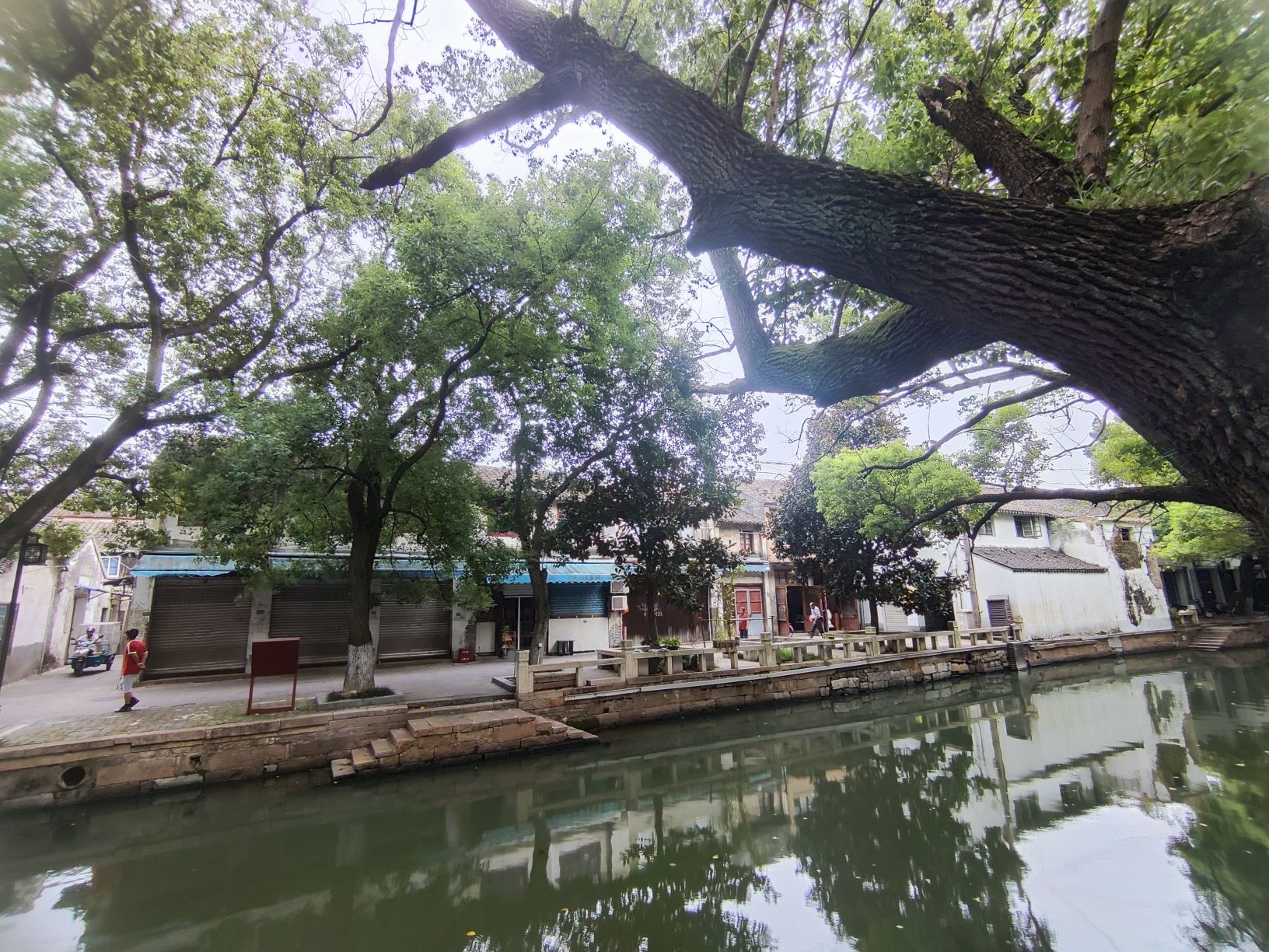 芦墟历史文化街区旅行图片 2