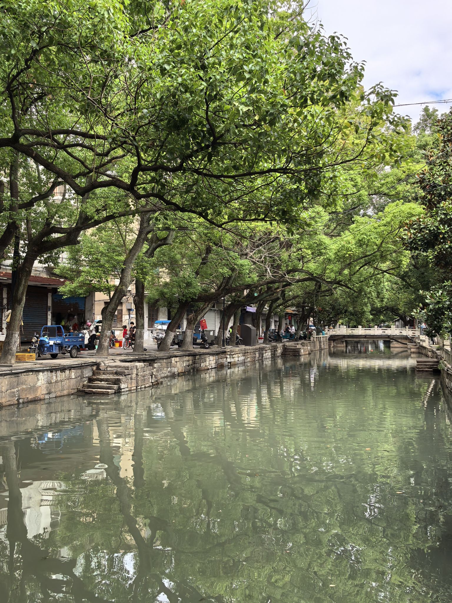 芦墟历史文化街区旅行图片 3