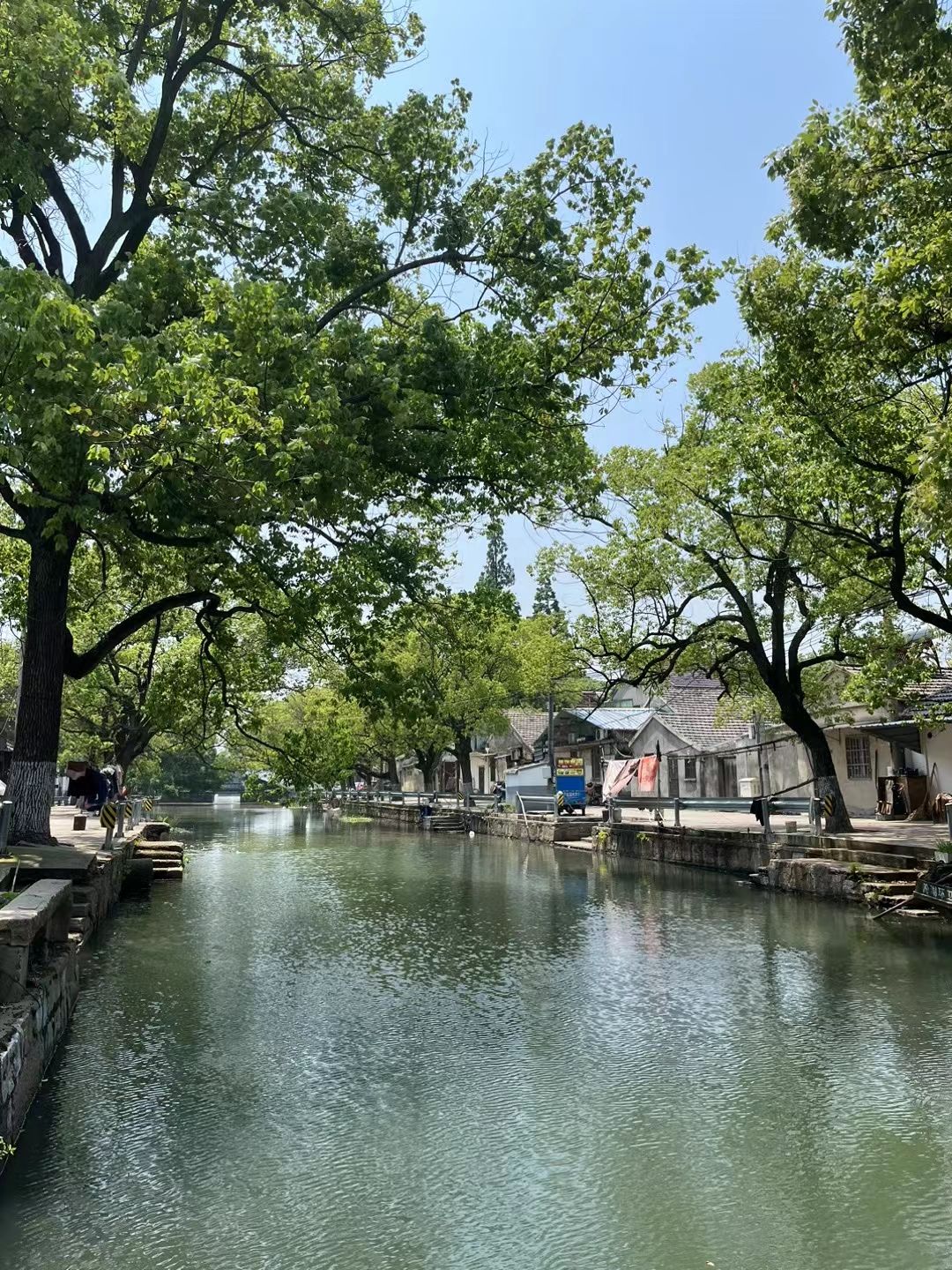 芦墟历史文化街区旅行图片 2
