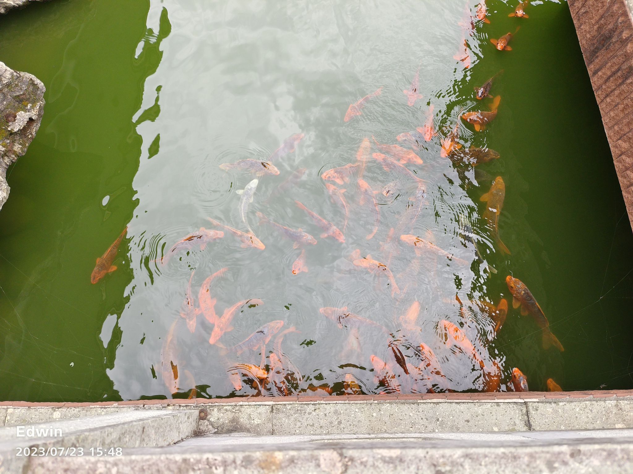 金山石博园旅行图片 1