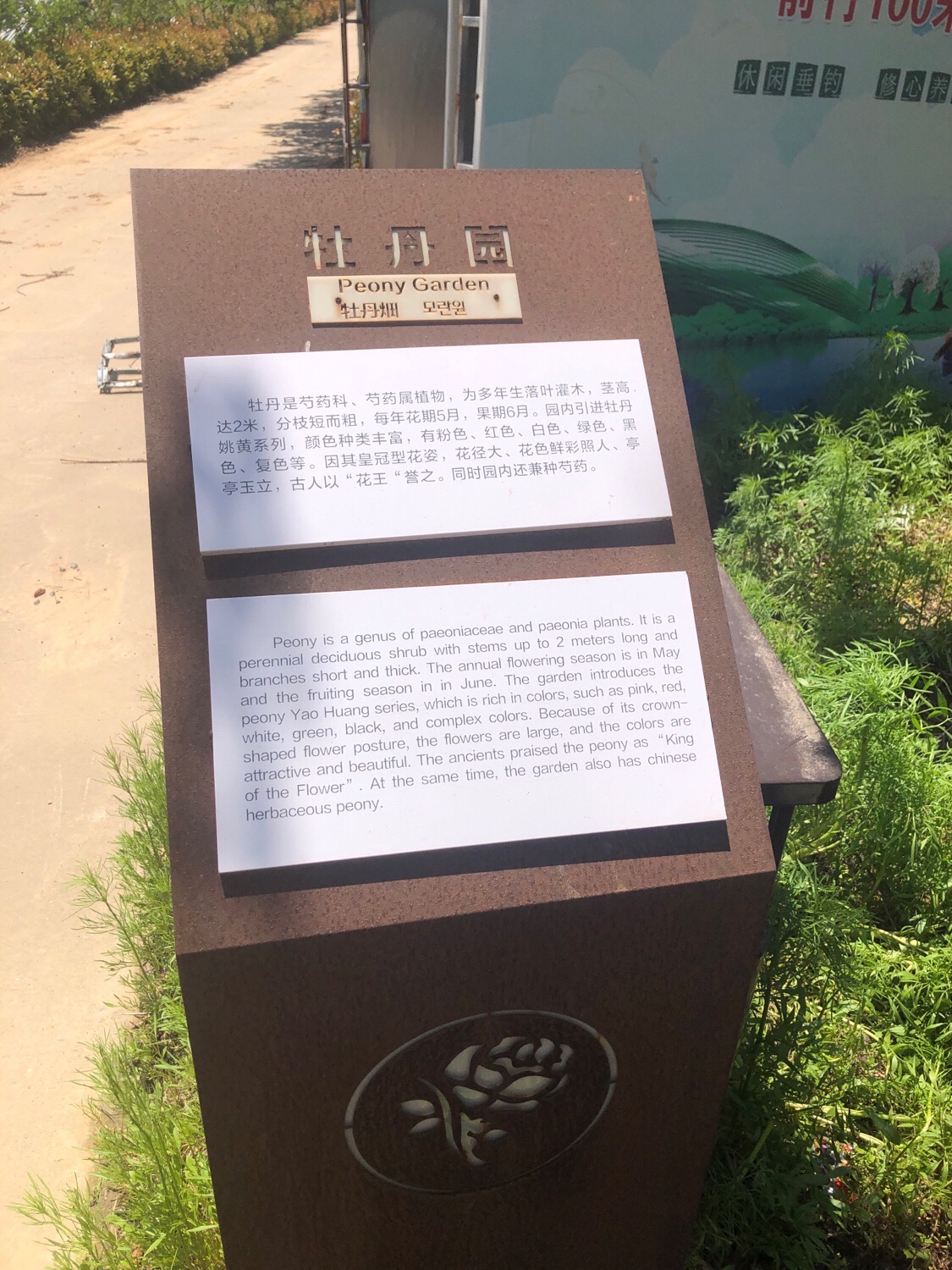 红掌广场旅行图片 3
