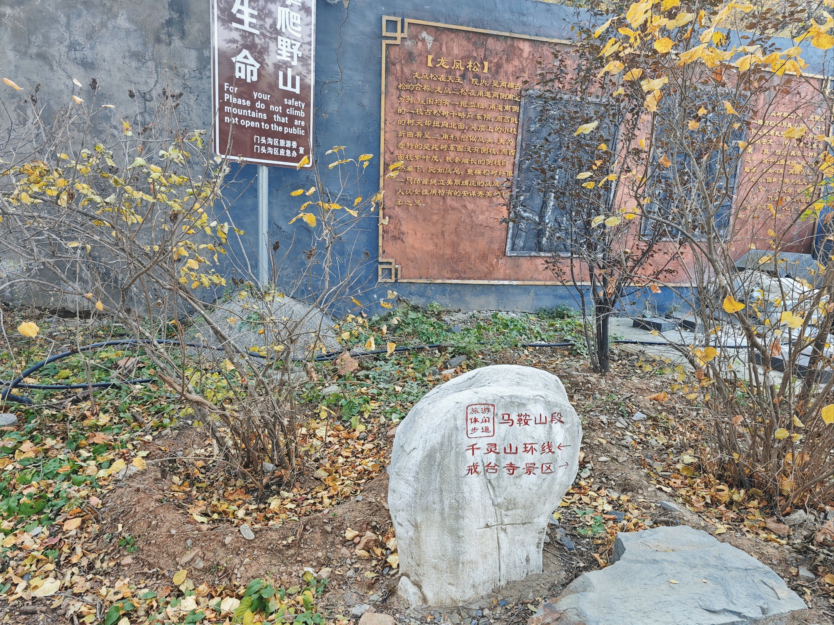戒台寺郊野公园