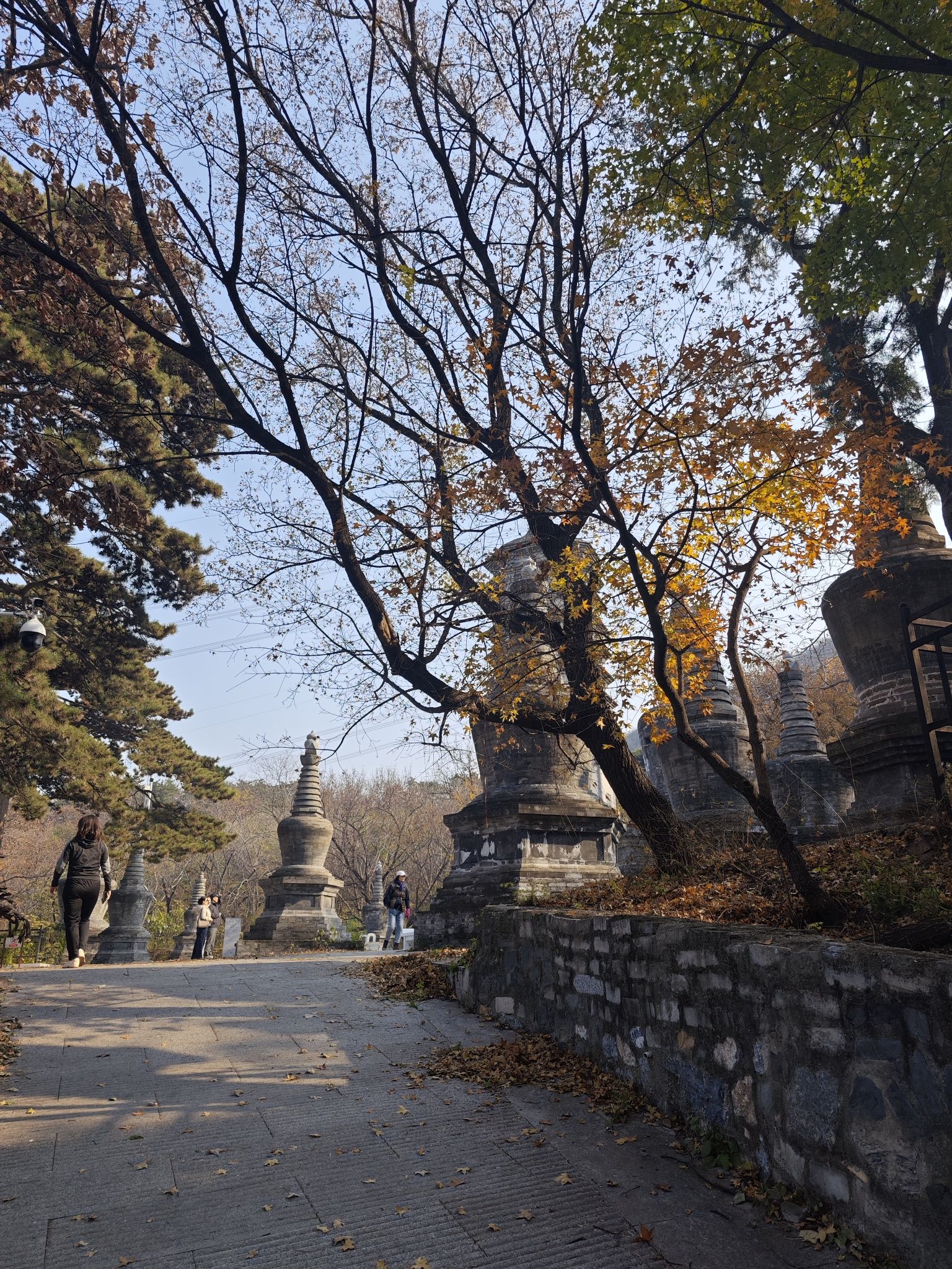 戒台寺郊野公园旅行图片 1