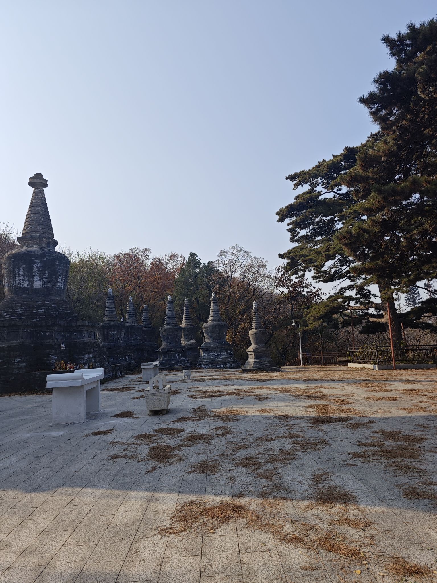 戒台寺郊野公园旅行图片 3