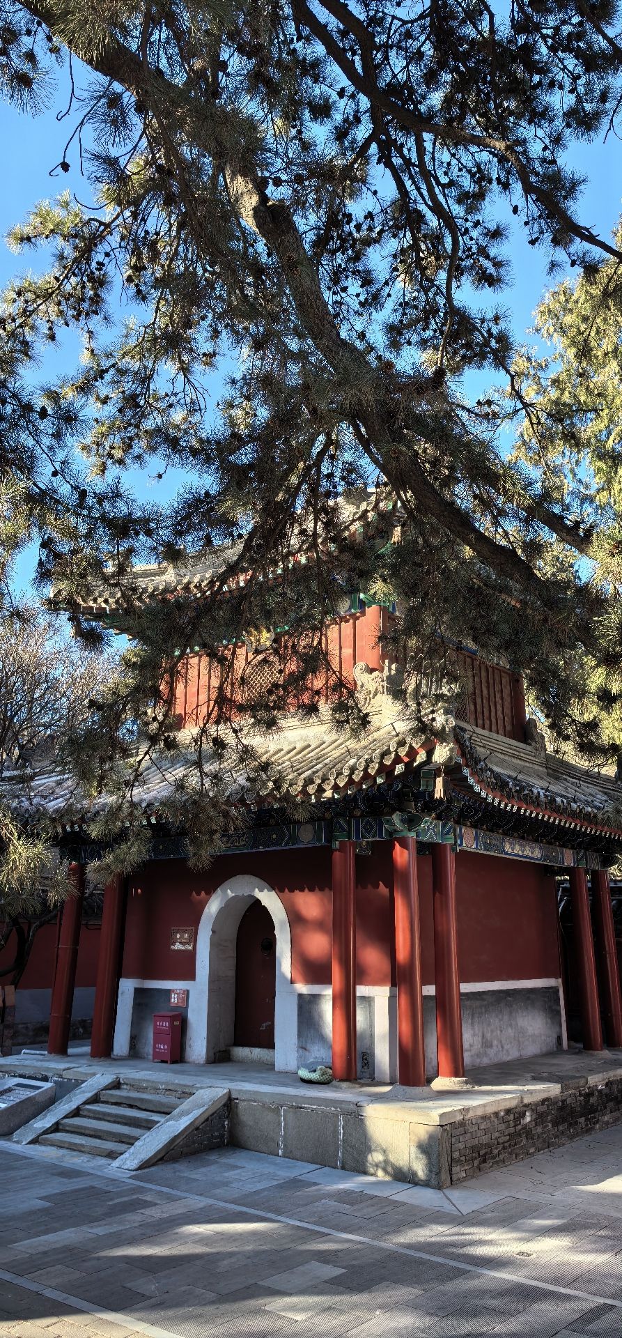 戒台寺郊野公园旅行图片 3
