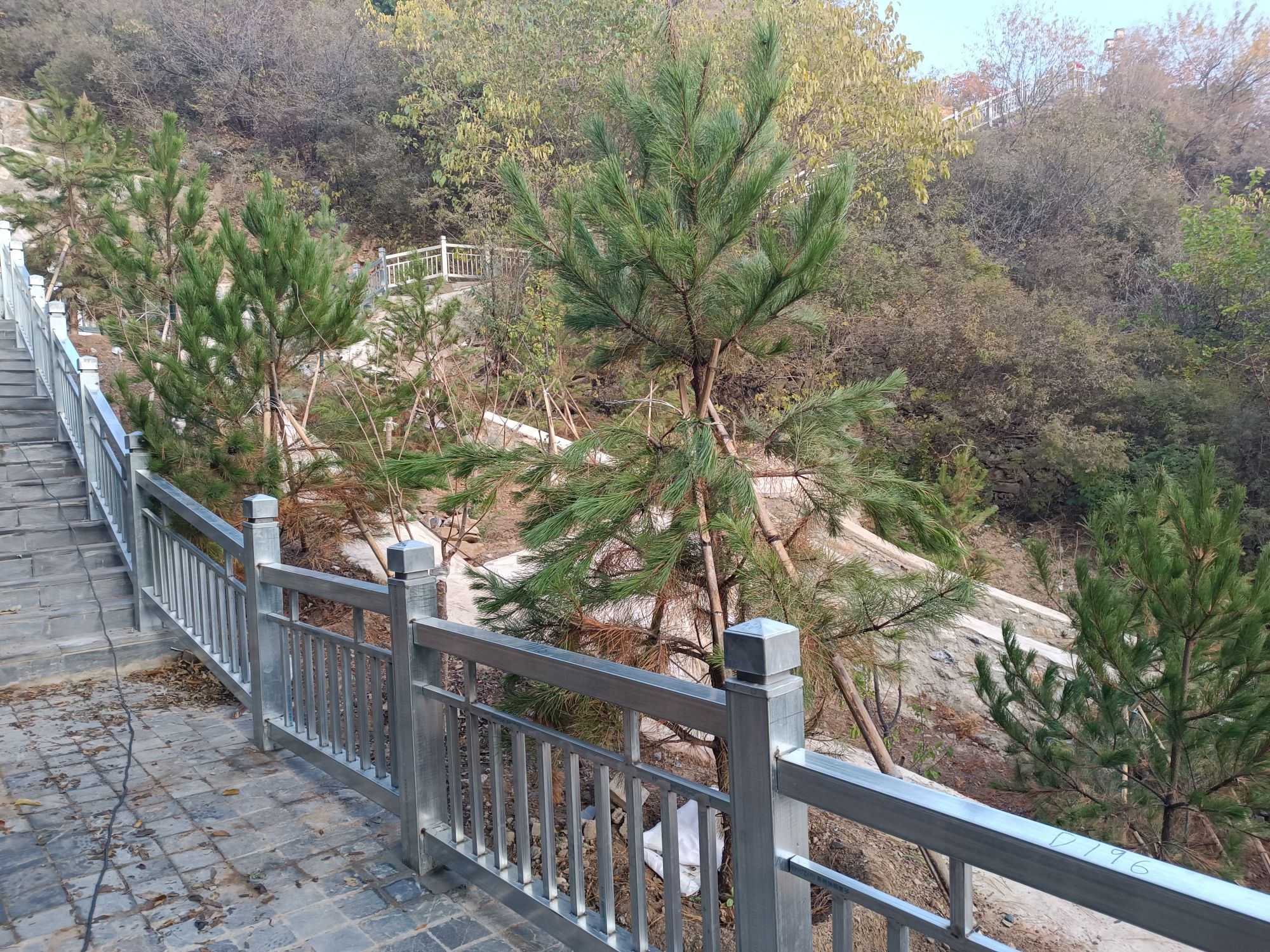 戒台寺郊野公园旅行图片 3