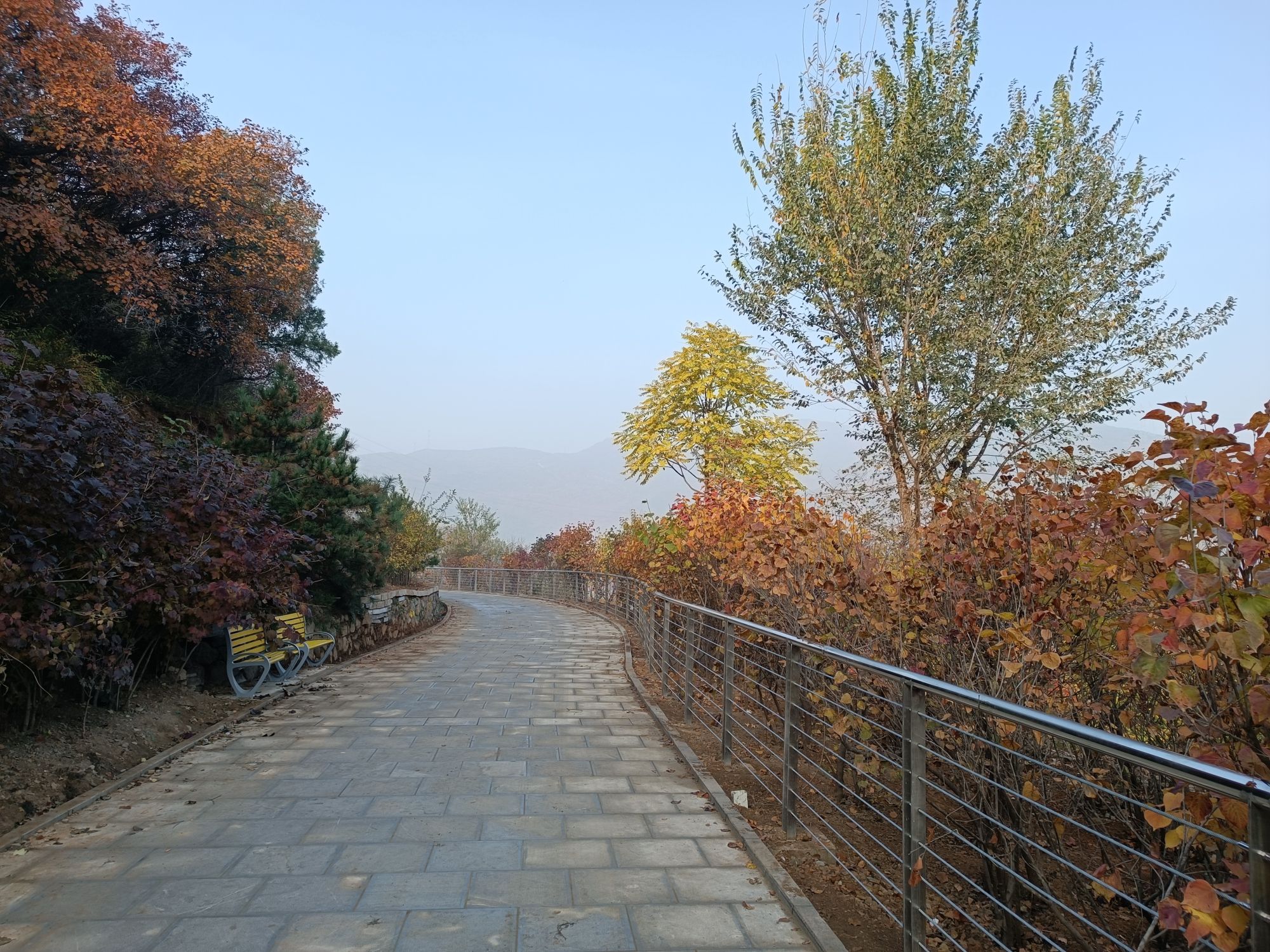 戒台寺郊野公园旅行图片 1