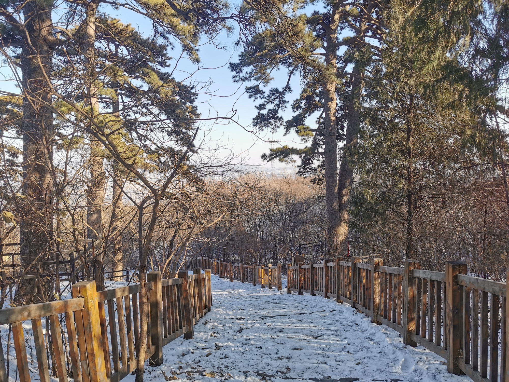 戒台寺郊野公园旅行图片 1