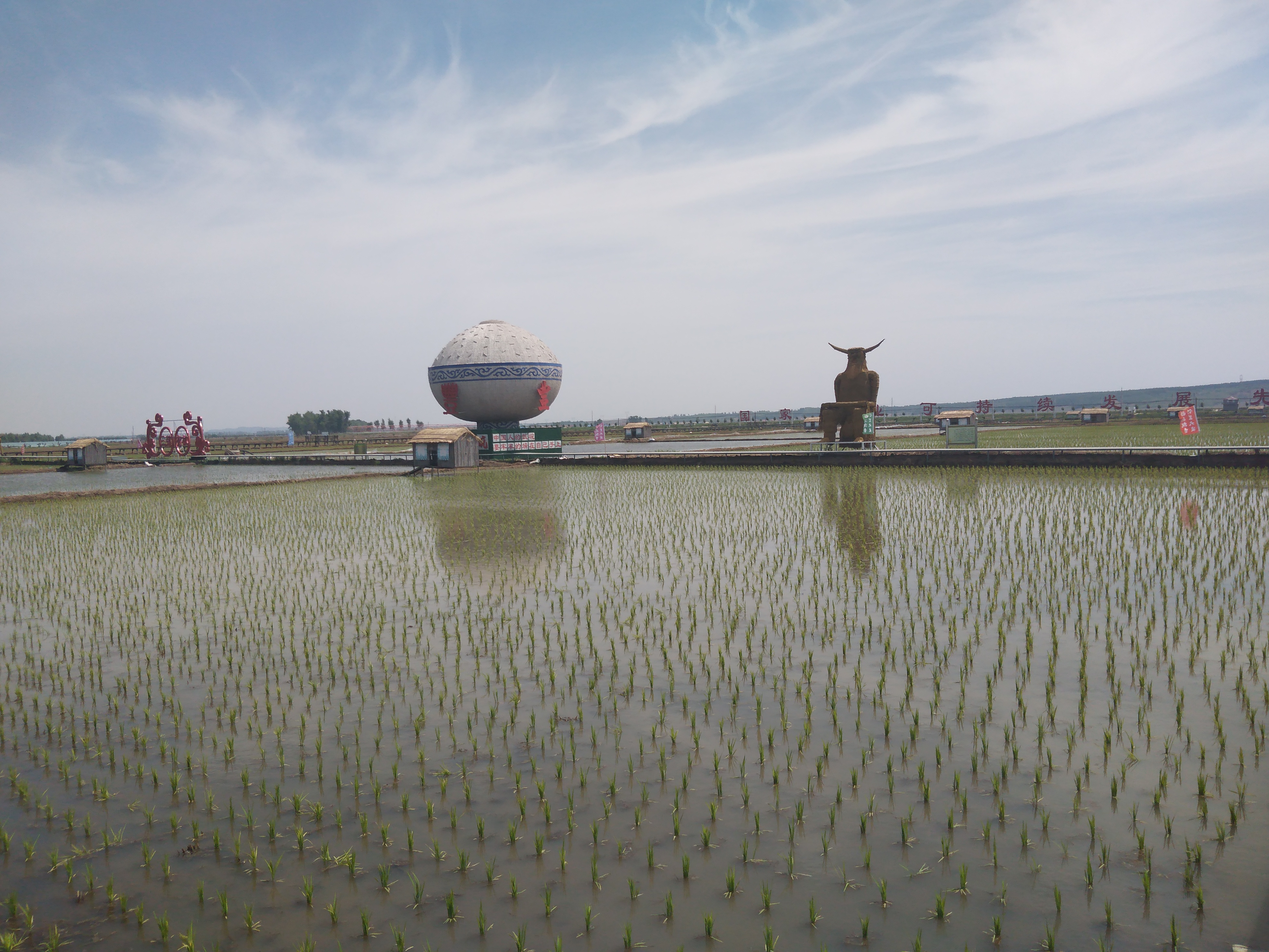 三莲稻田公园旅行图片 3