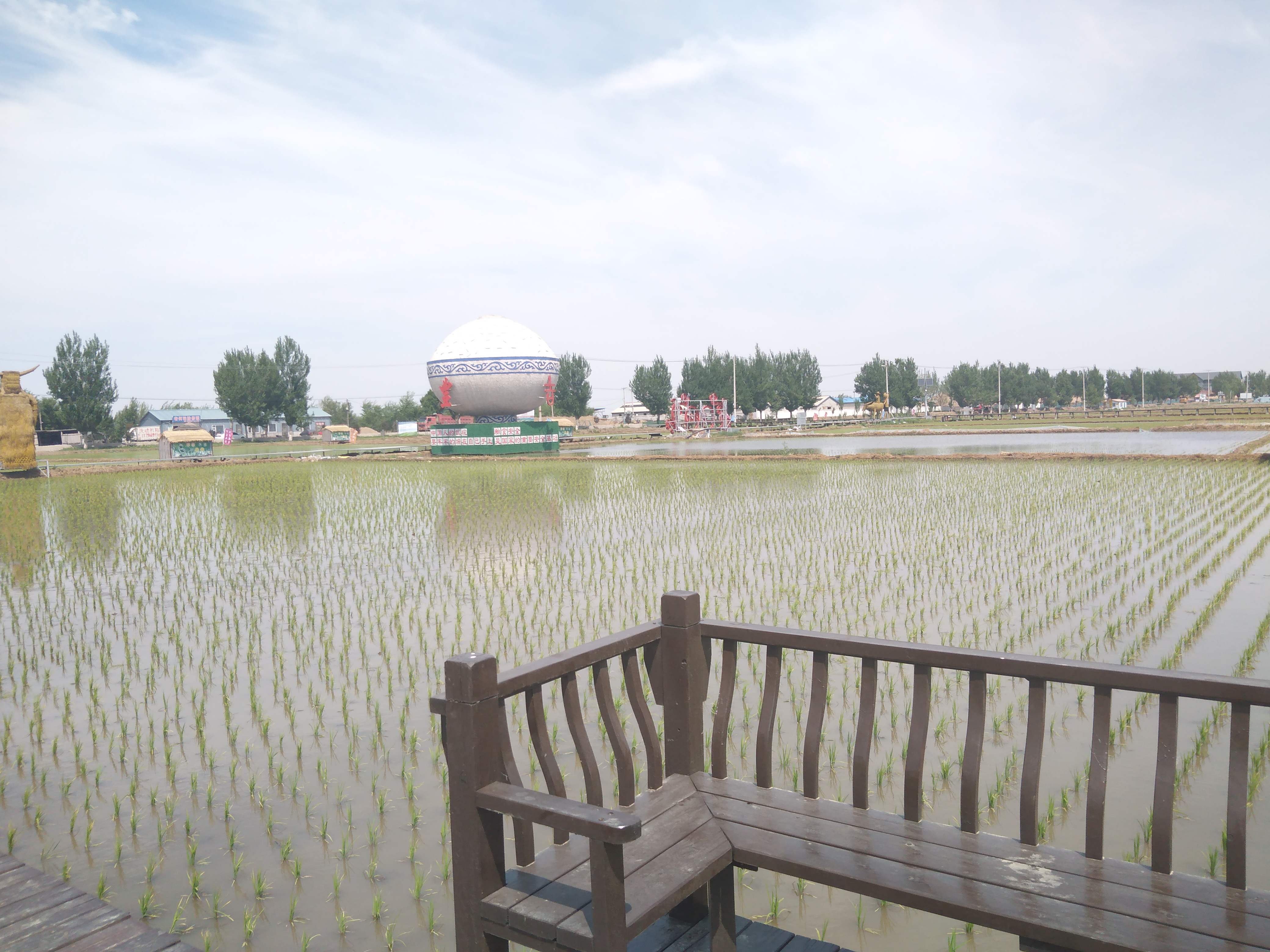 三莲稻田公园旅行图片 2