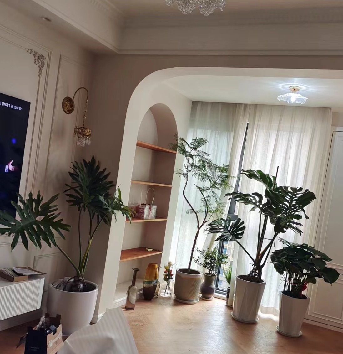 邻水花木园旅行图片 3
