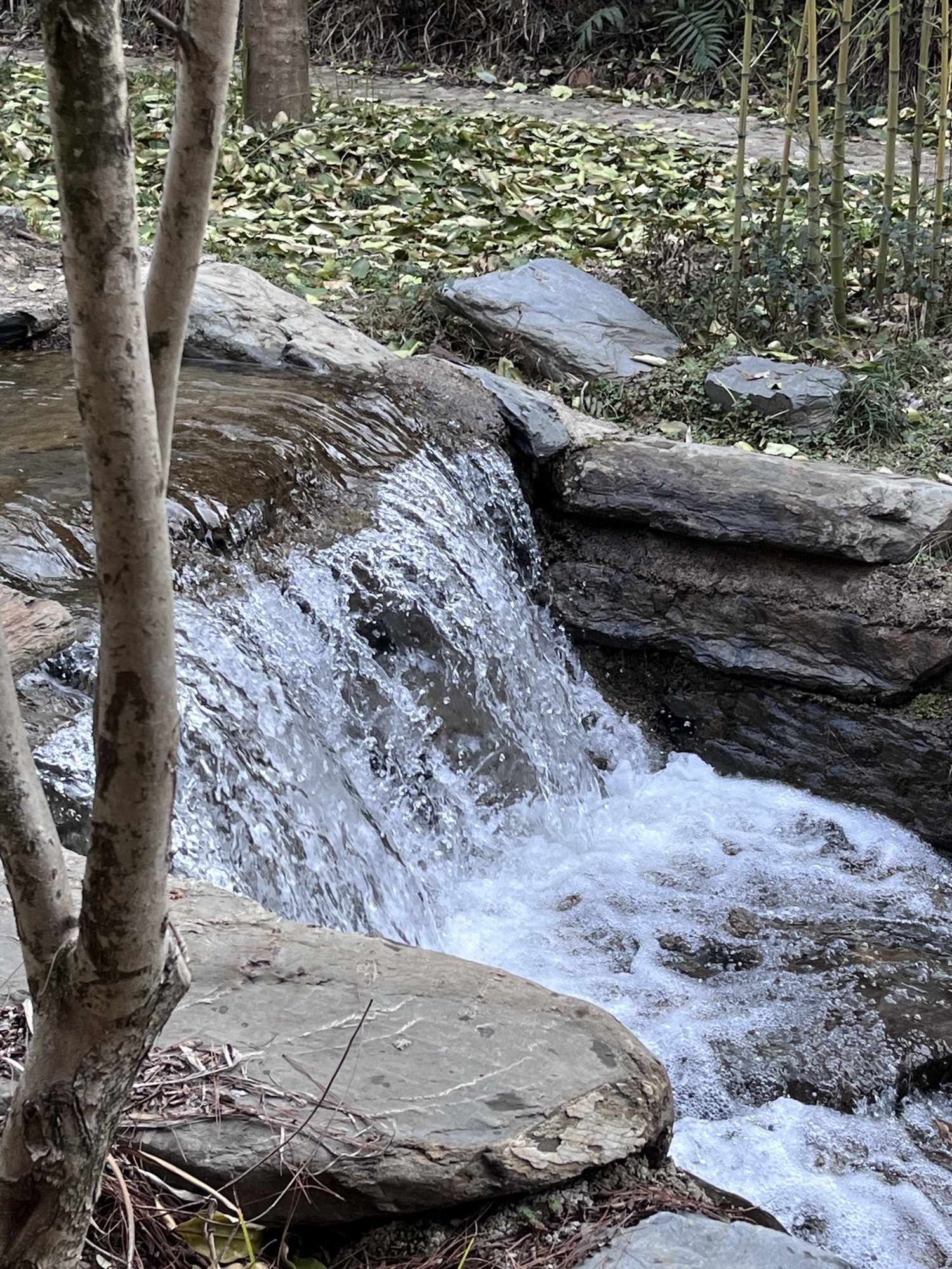 长寿秘境旅游度假区旅行图片 3