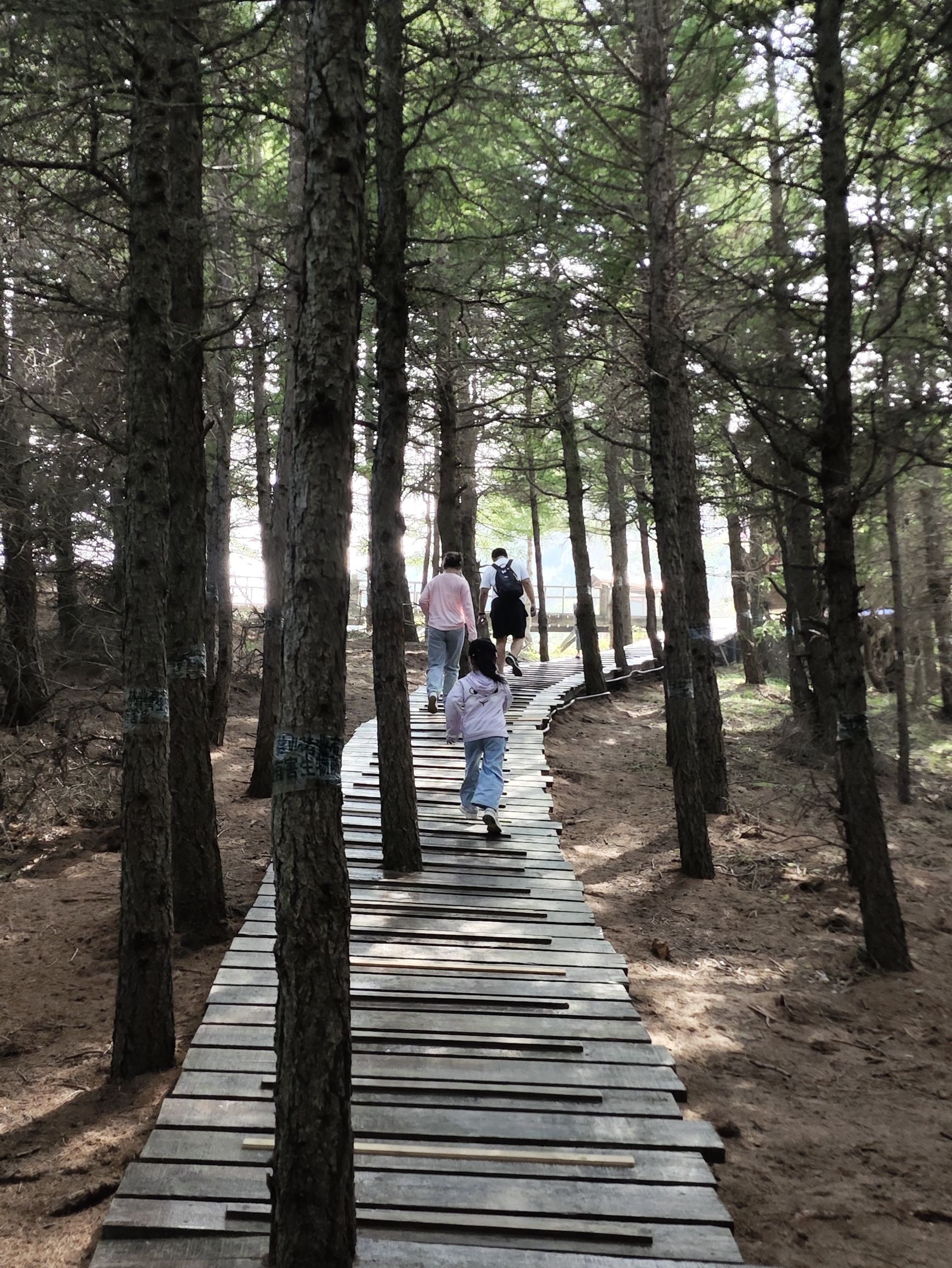 苏木山森林公园(暂停开放)旅行图片 1