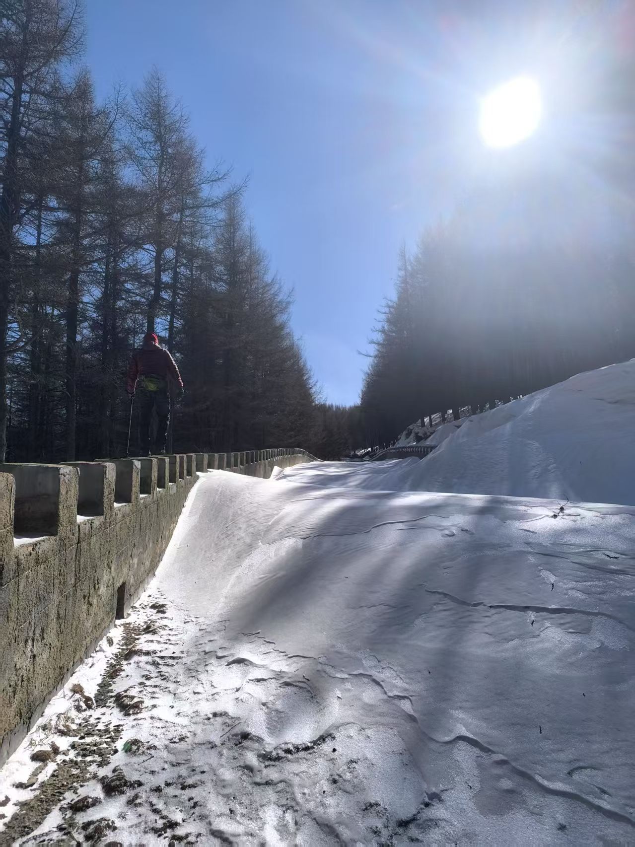 苏木山森林公园(暂停开放)旅行图片 3