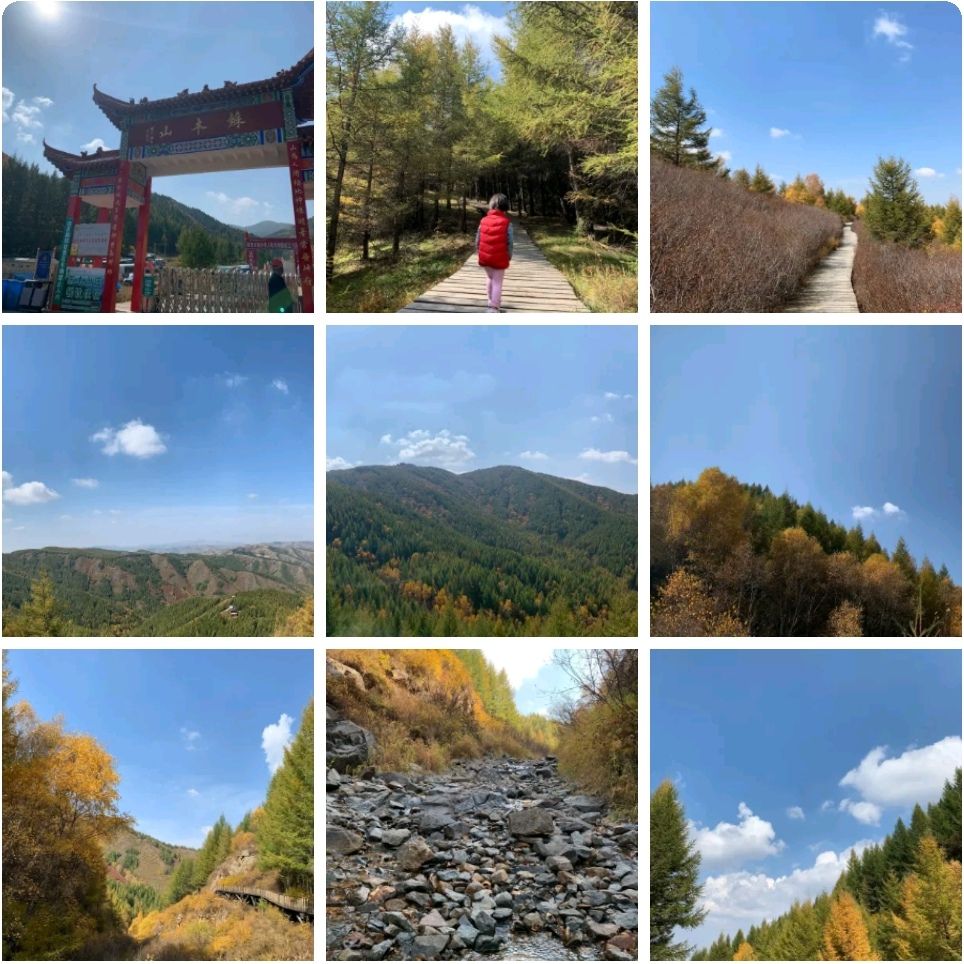 苏木山森林公园(暂停开放)旅行图片 1