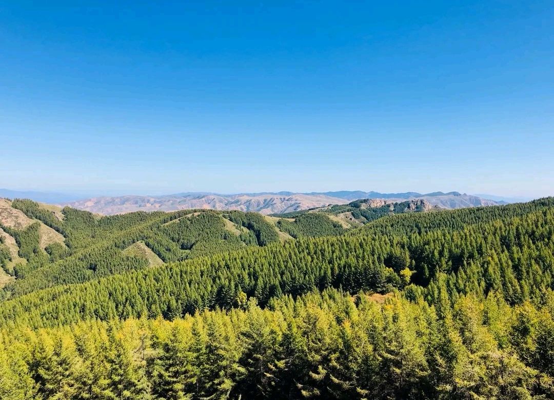 苏木山森林公园(暂停开放)旅行图片 1