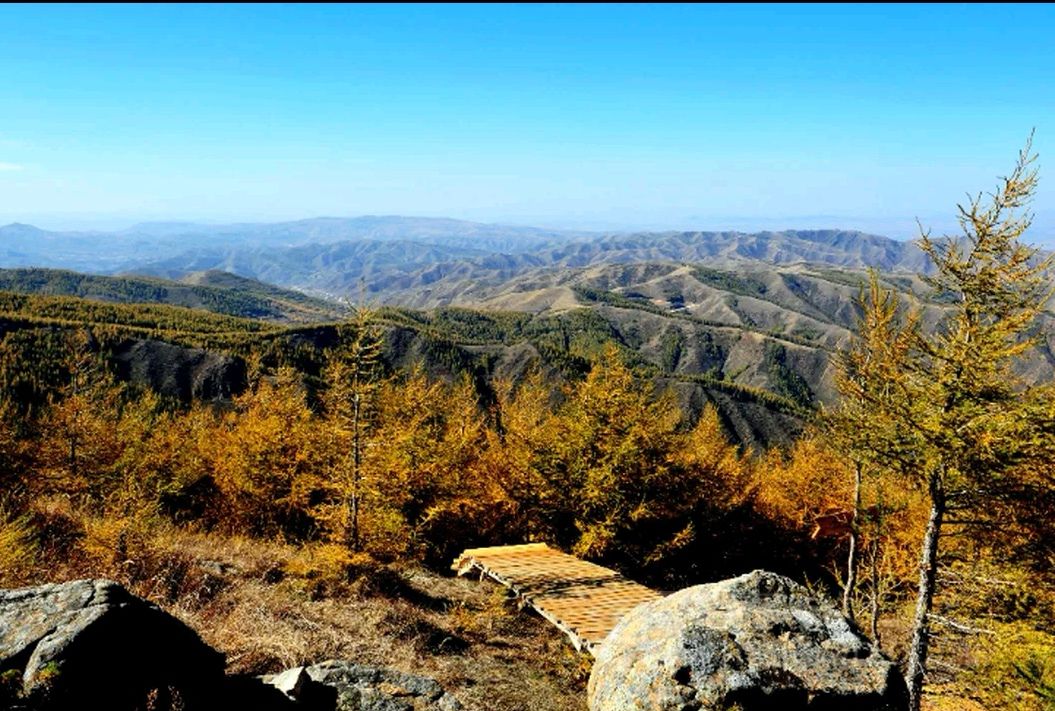 苏木山森林公园(暂停开放)旅行图片 2