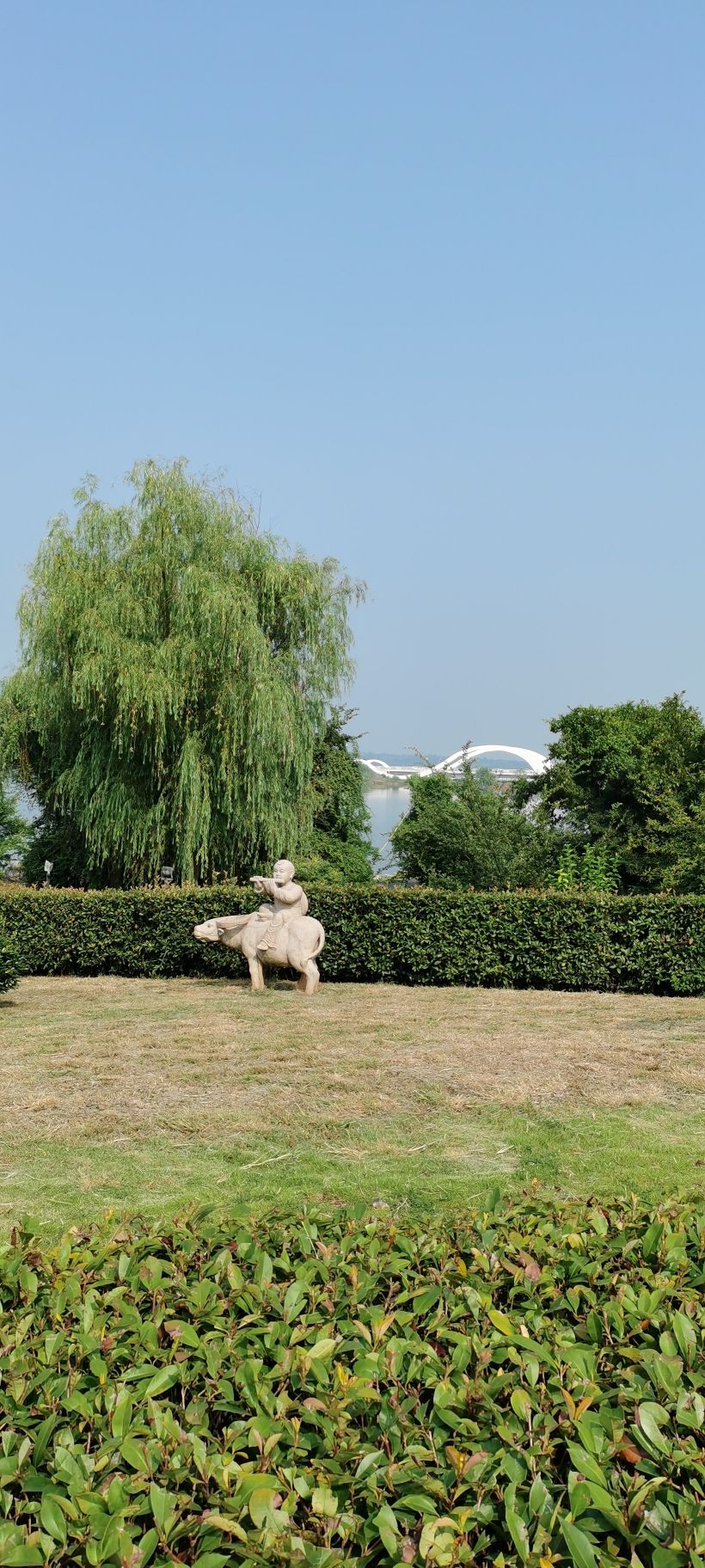 蔡家湖公园旅行图片 1