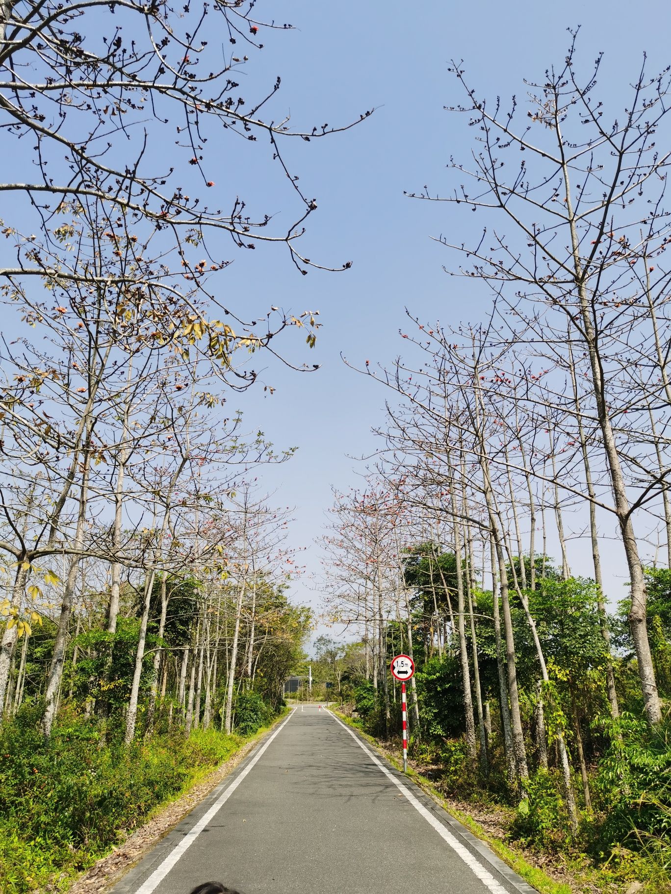 慢客公园旅行图片 3