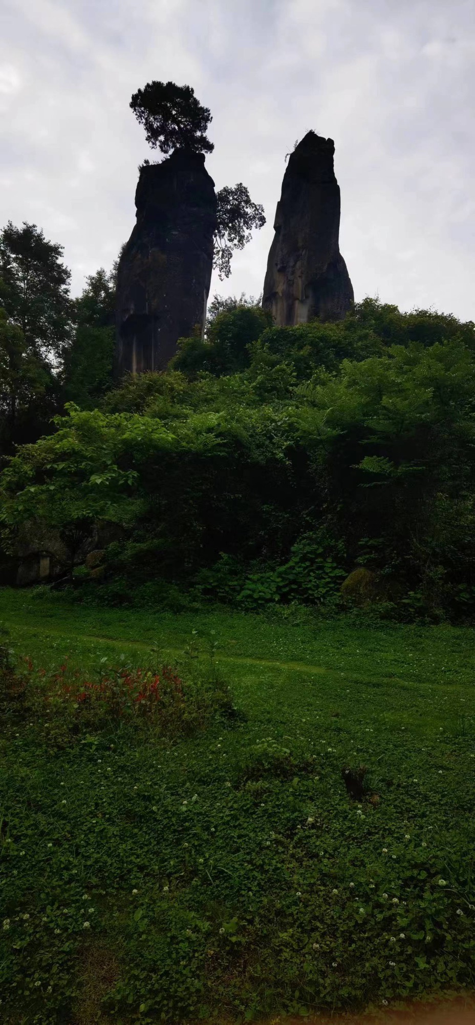 通江县唱歌石林旅游景区旅行图片 2