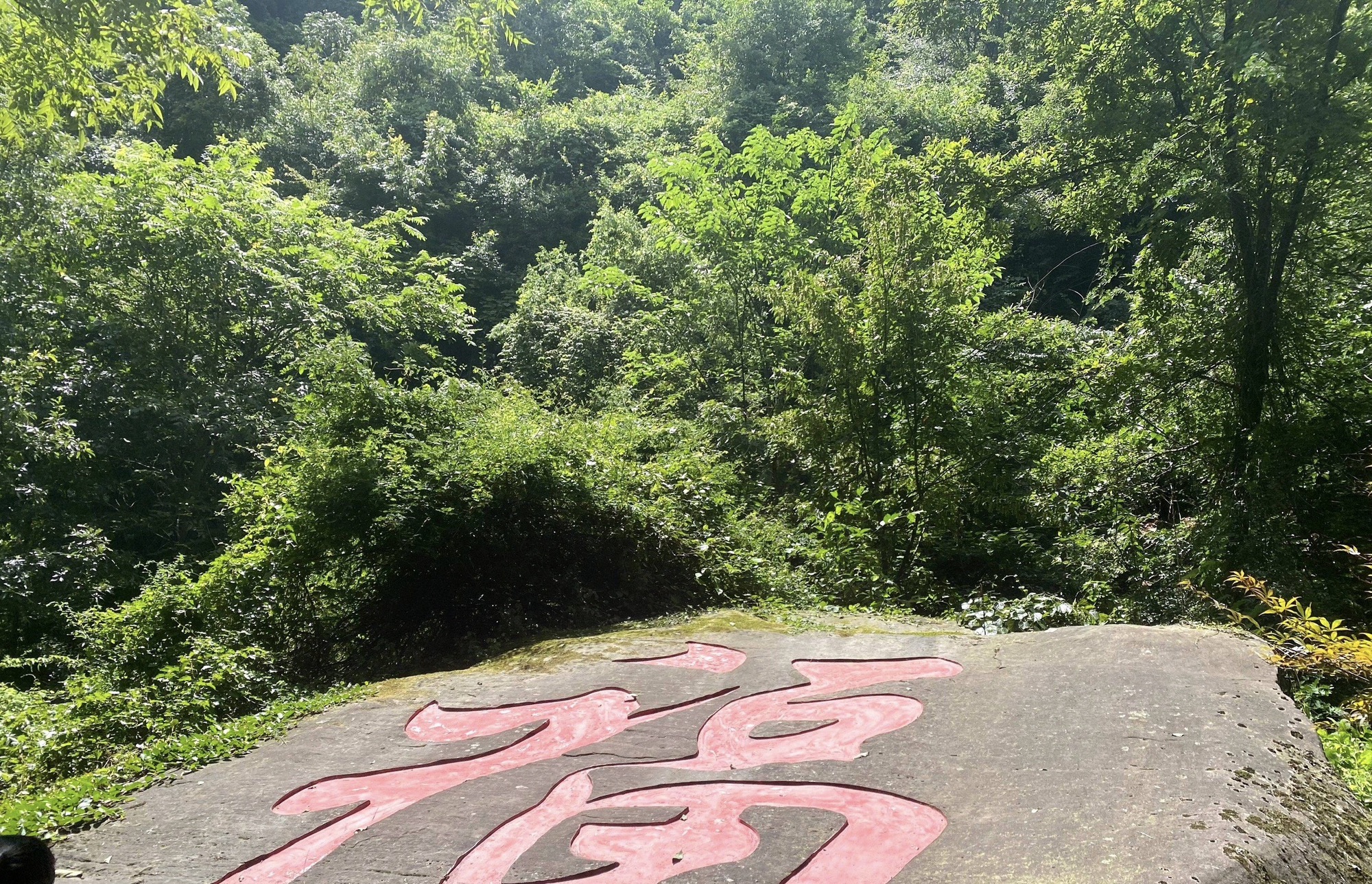 通江县唱歌石林旅游景区旅行图片 2