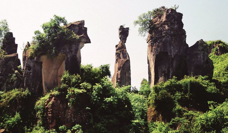 通江县唱歌石林旅游景区旅行图片 1