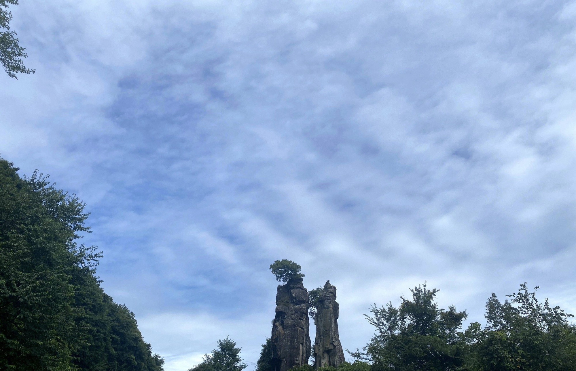 通江县唱歌石林旅游景区旅行图片 3