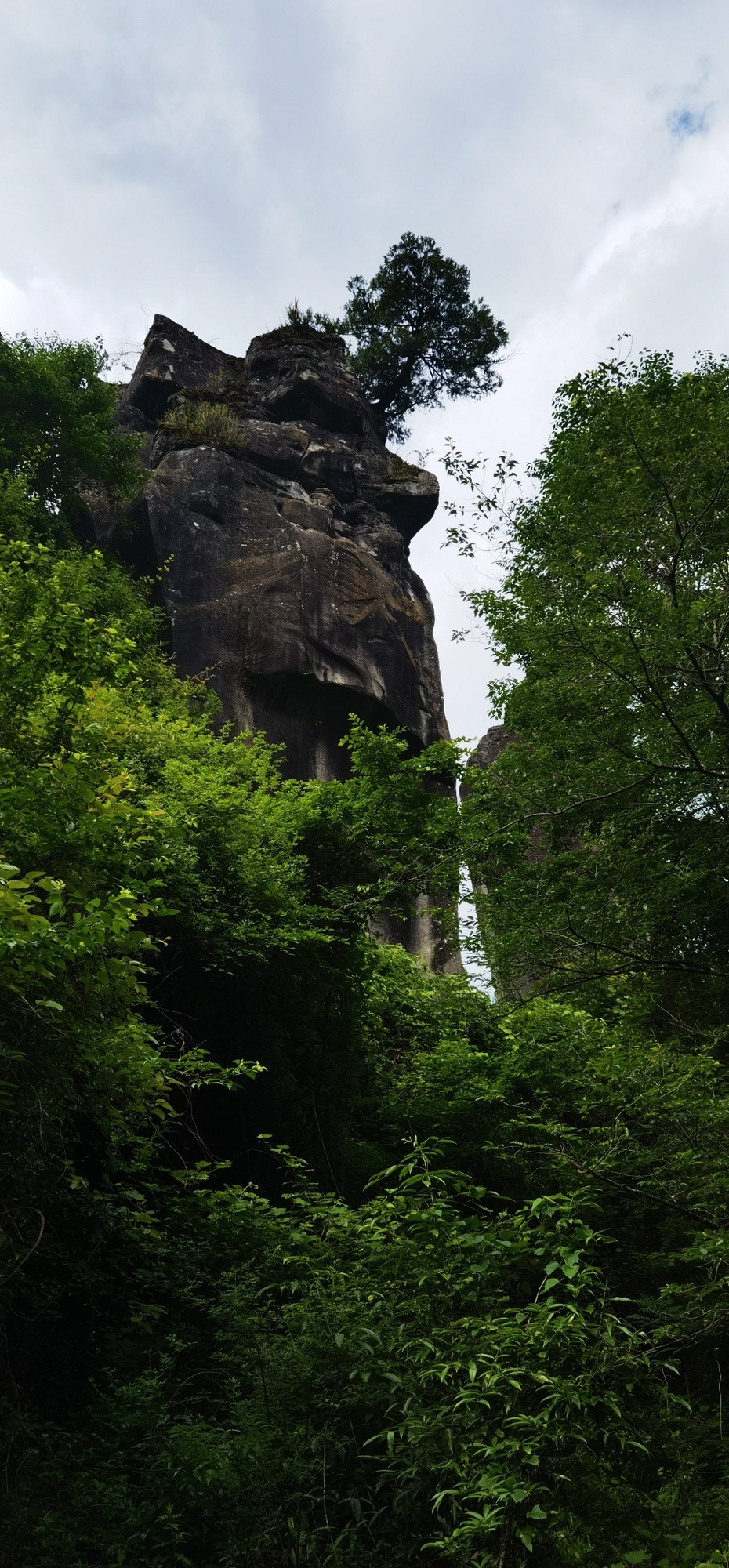 通江县唱歌石林旅游景区旅行图片 1