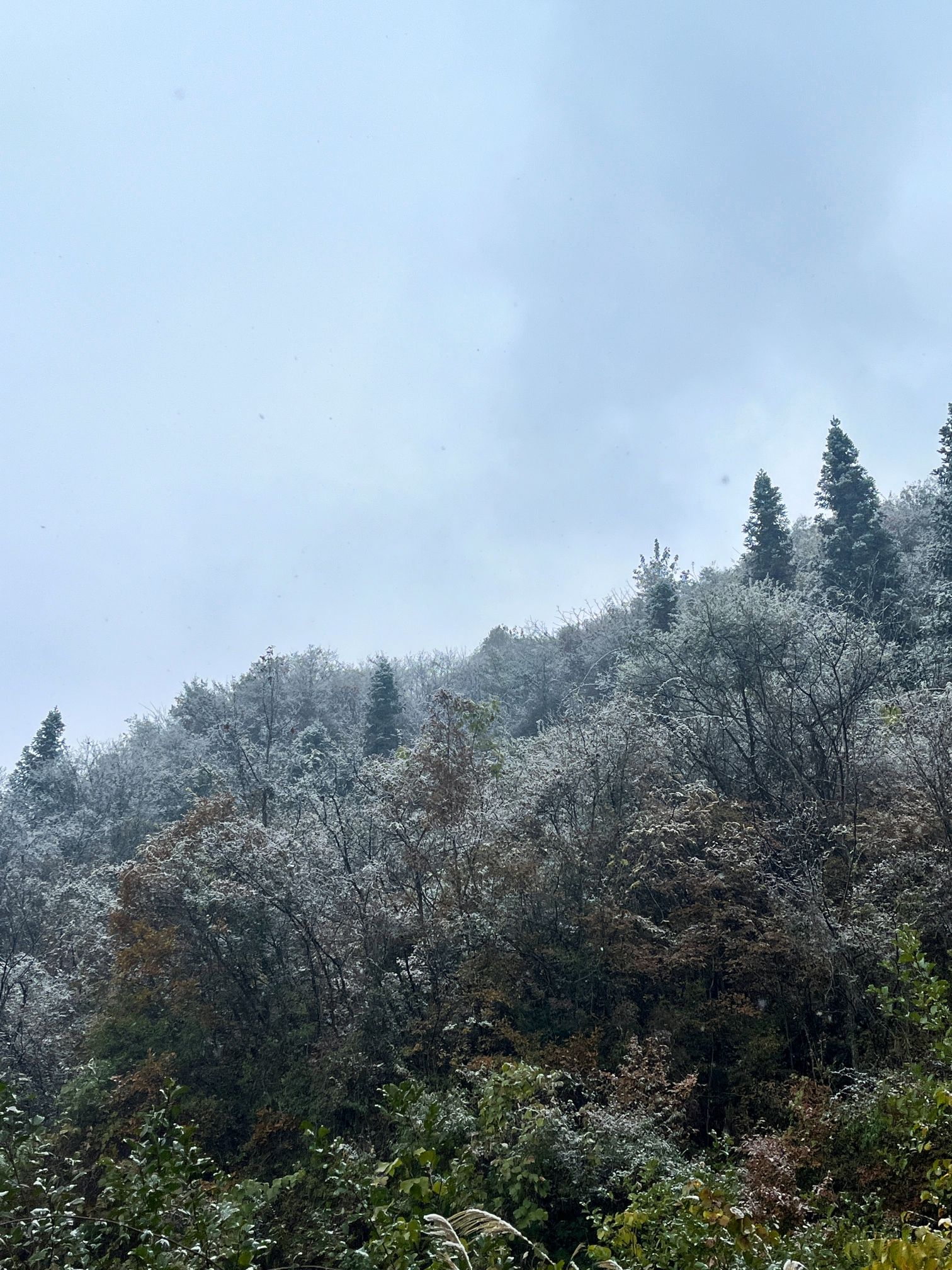 通江县唱歌石林旅游景区旅行图片 3