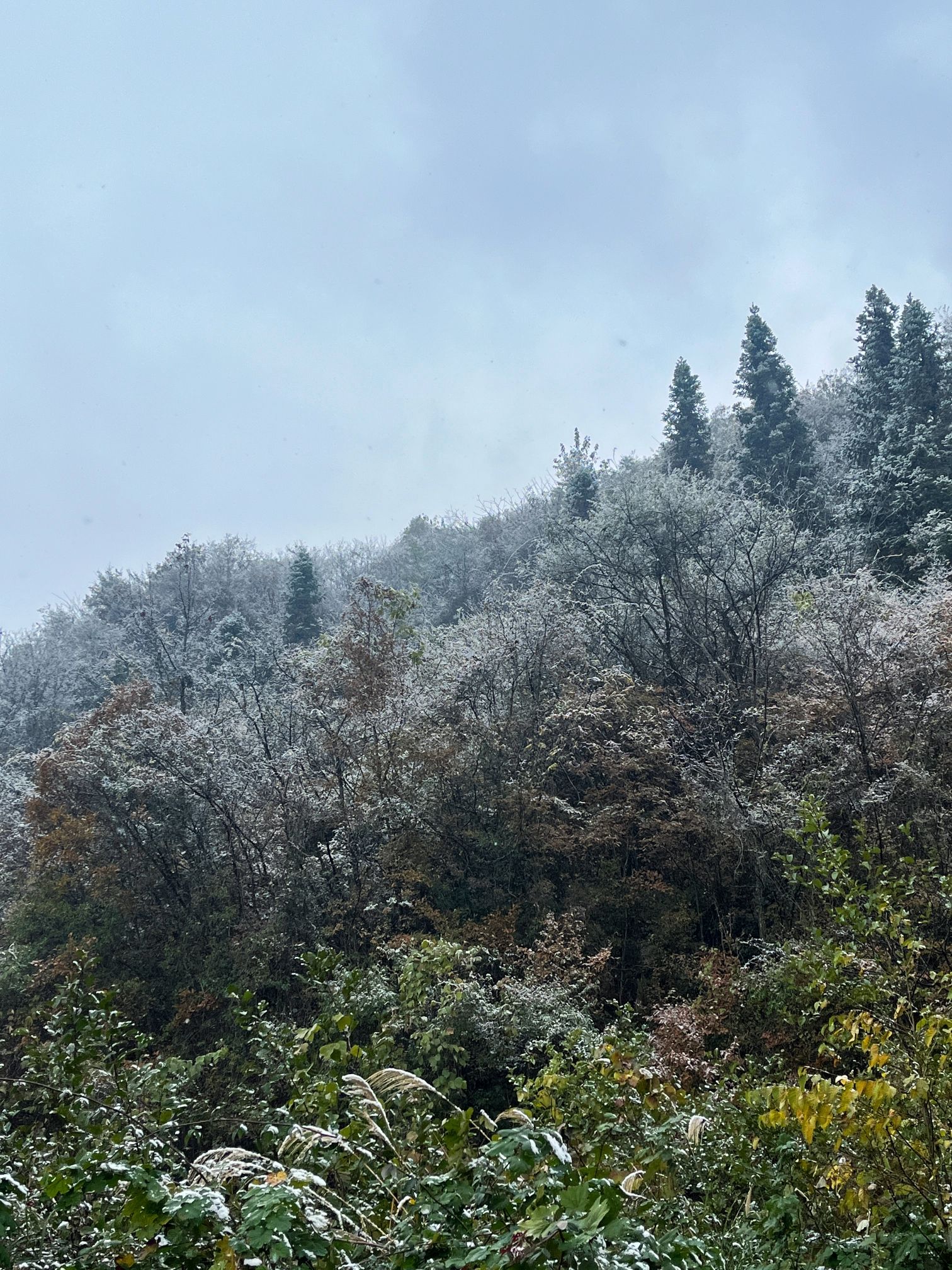 通江县唱歌石林旅游景区旅行图片 2