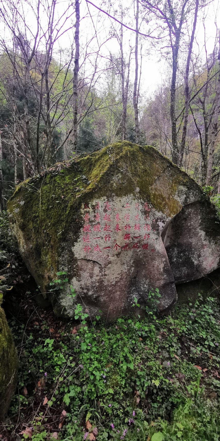 通江县唱歌石林旅游景区旅行图片 1