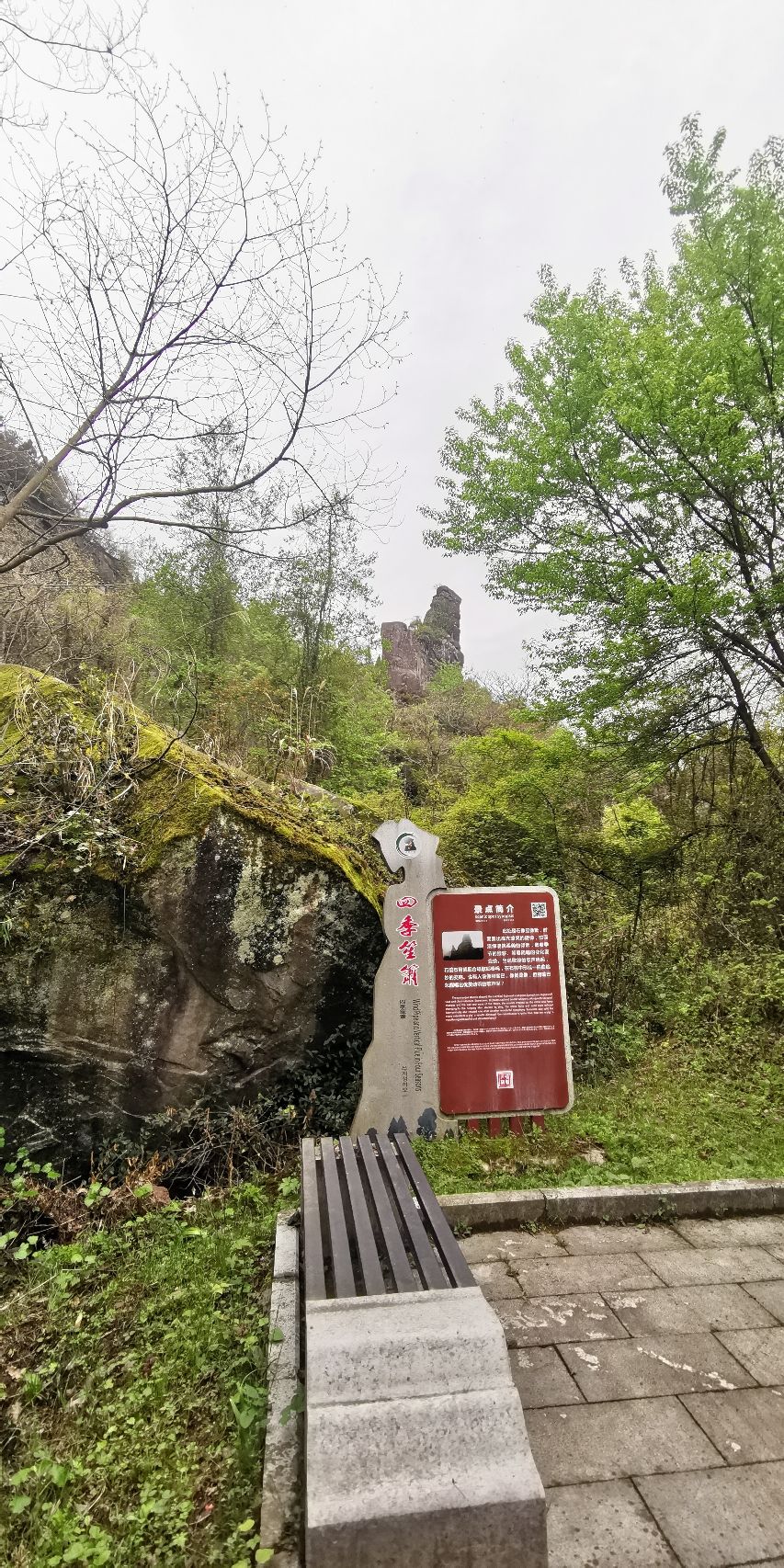 通江县唱歌石林旅游景区旅行图片 2